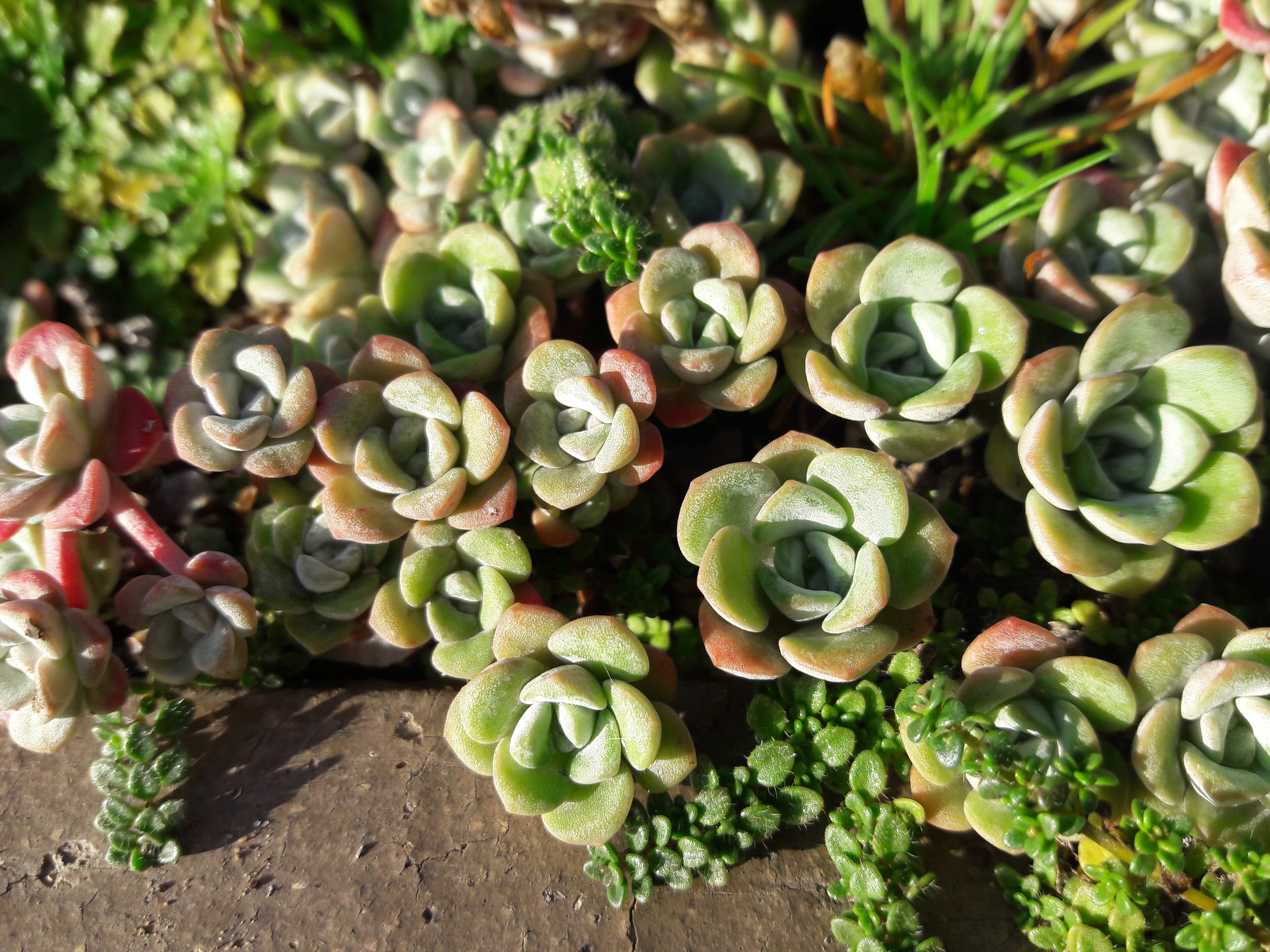 Vienna, Austria, photo by: Traci Schuck