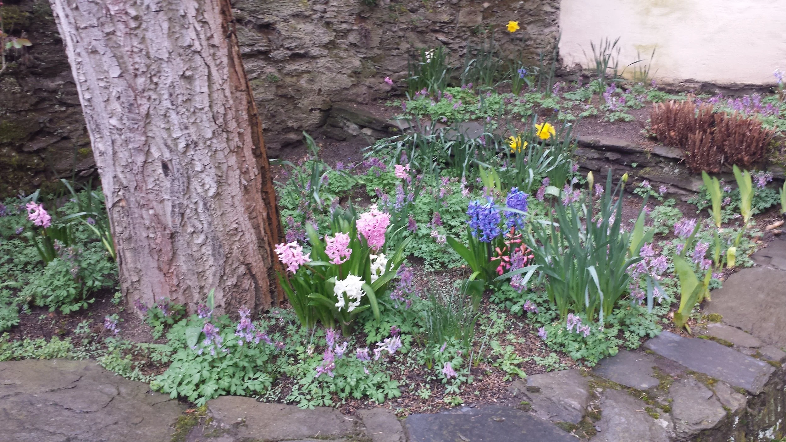 Koblenz, Germany, photo by: Traci Schuck