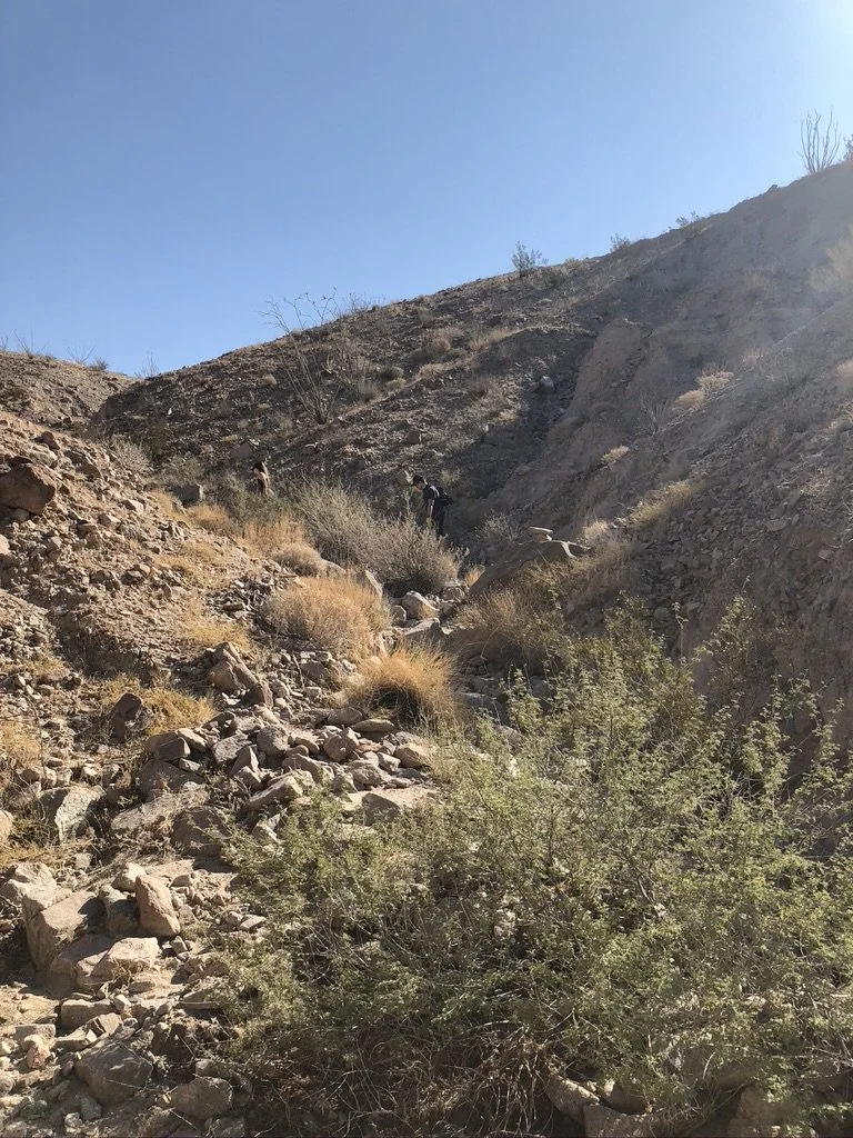 desert21 - Brian Parcel.jpeg