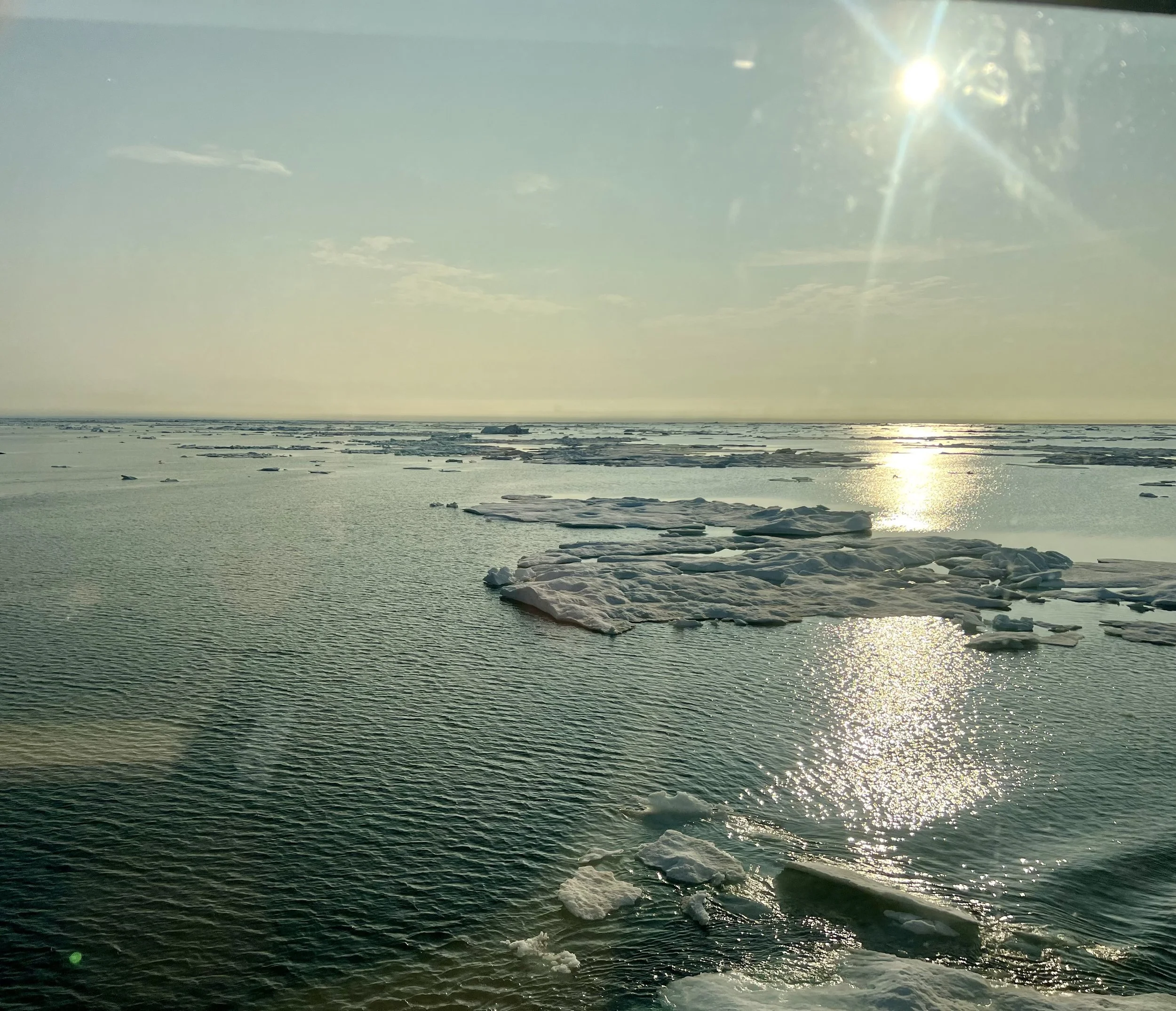 The Arctic Ocean above Alaska
Photo by: Anonymous