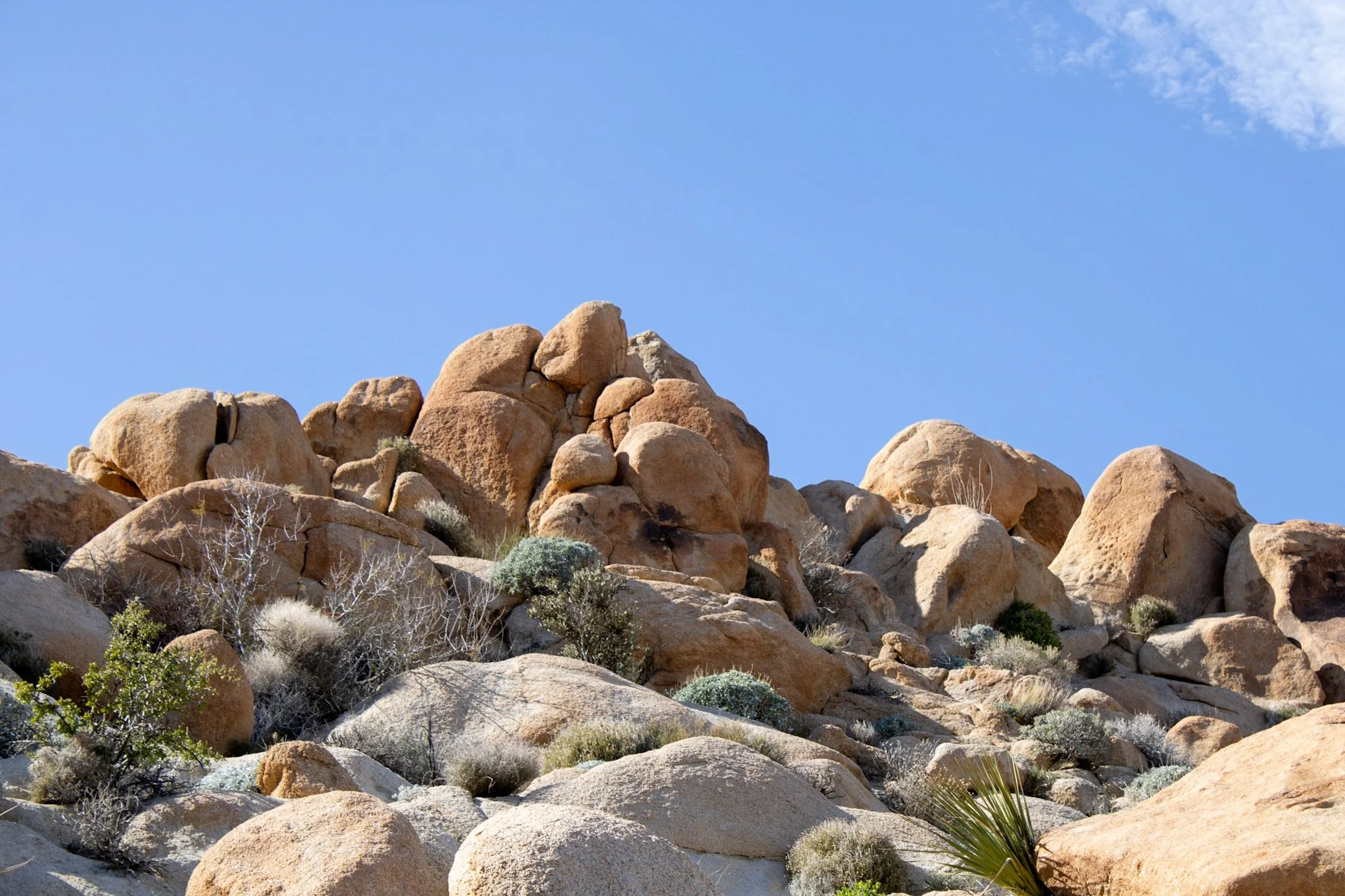 "Piles of boulders appearing from seemingly nowhere."
Blair Valley, Anza Borrego Desert State Park
Photo and reflection by: Traci Schuck