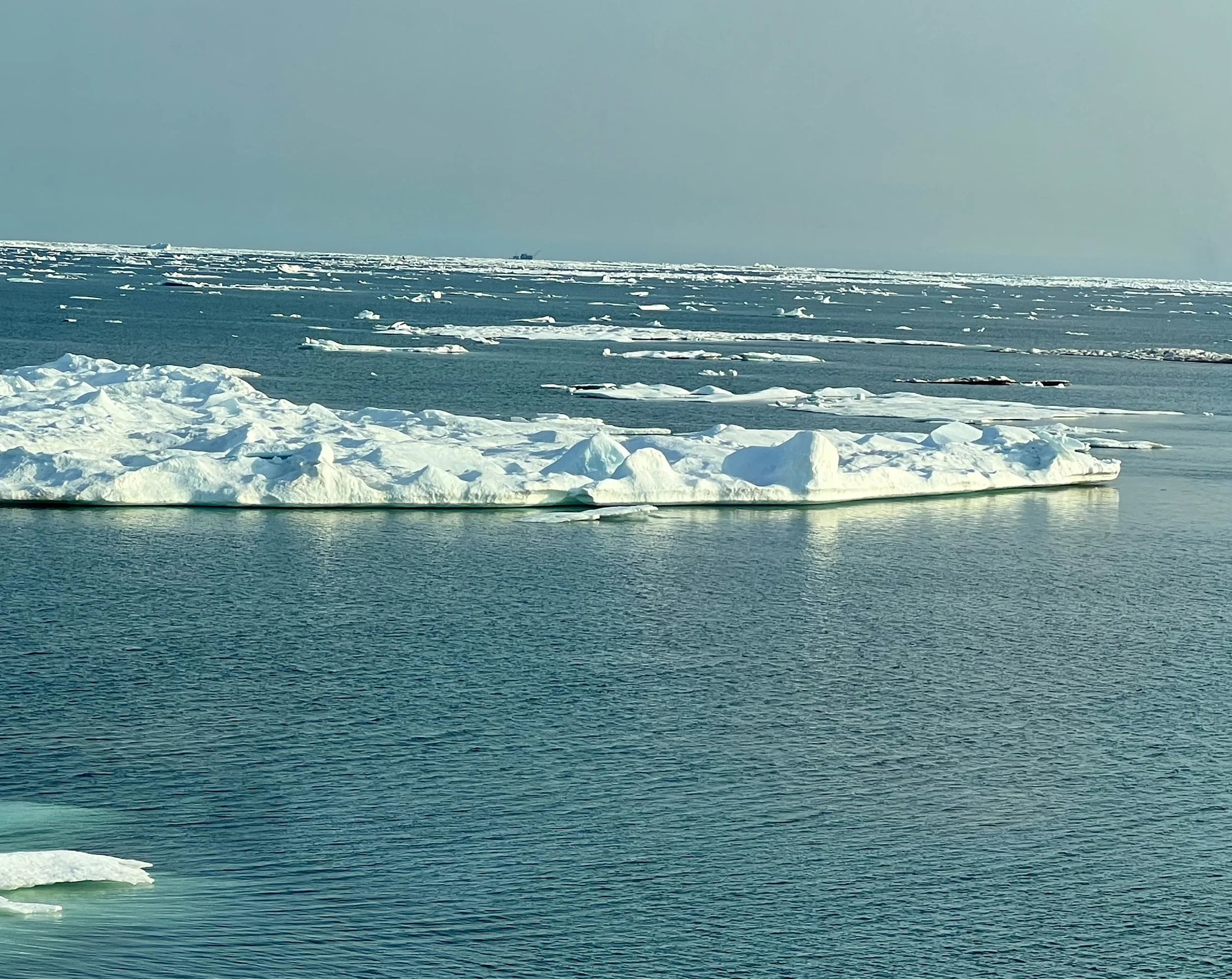 Arctic Ocean
Photo by: Jill Van Wormer