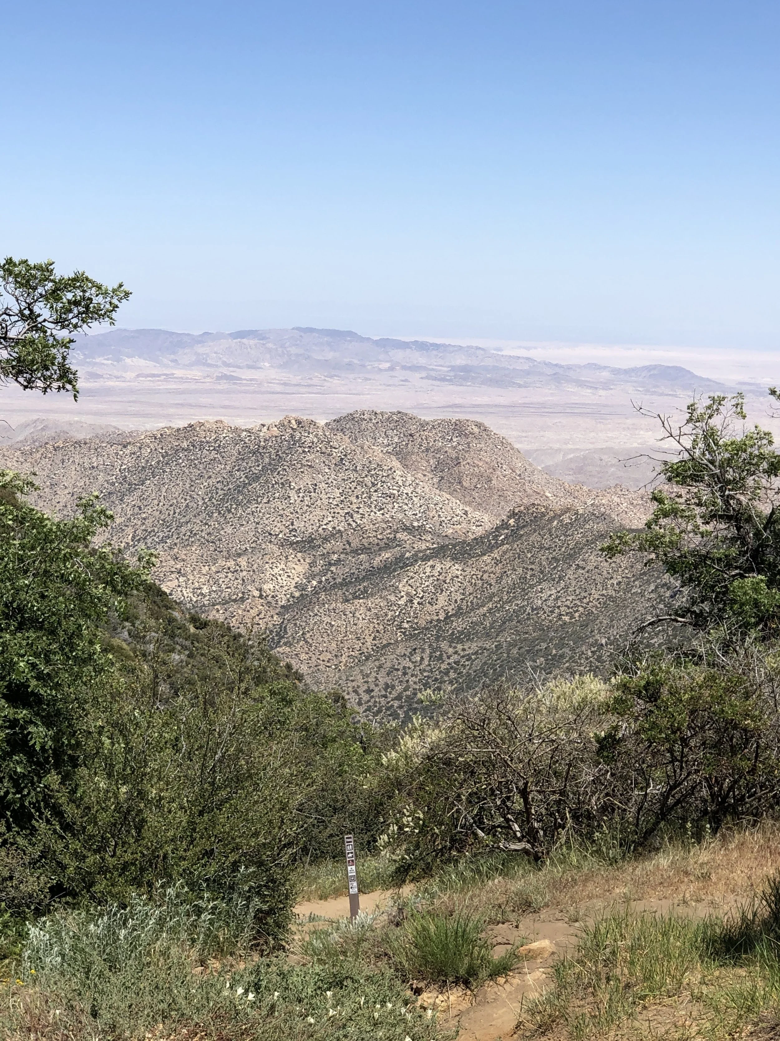 Cleveland National Forest 1 - Jennifer Cole.JPG