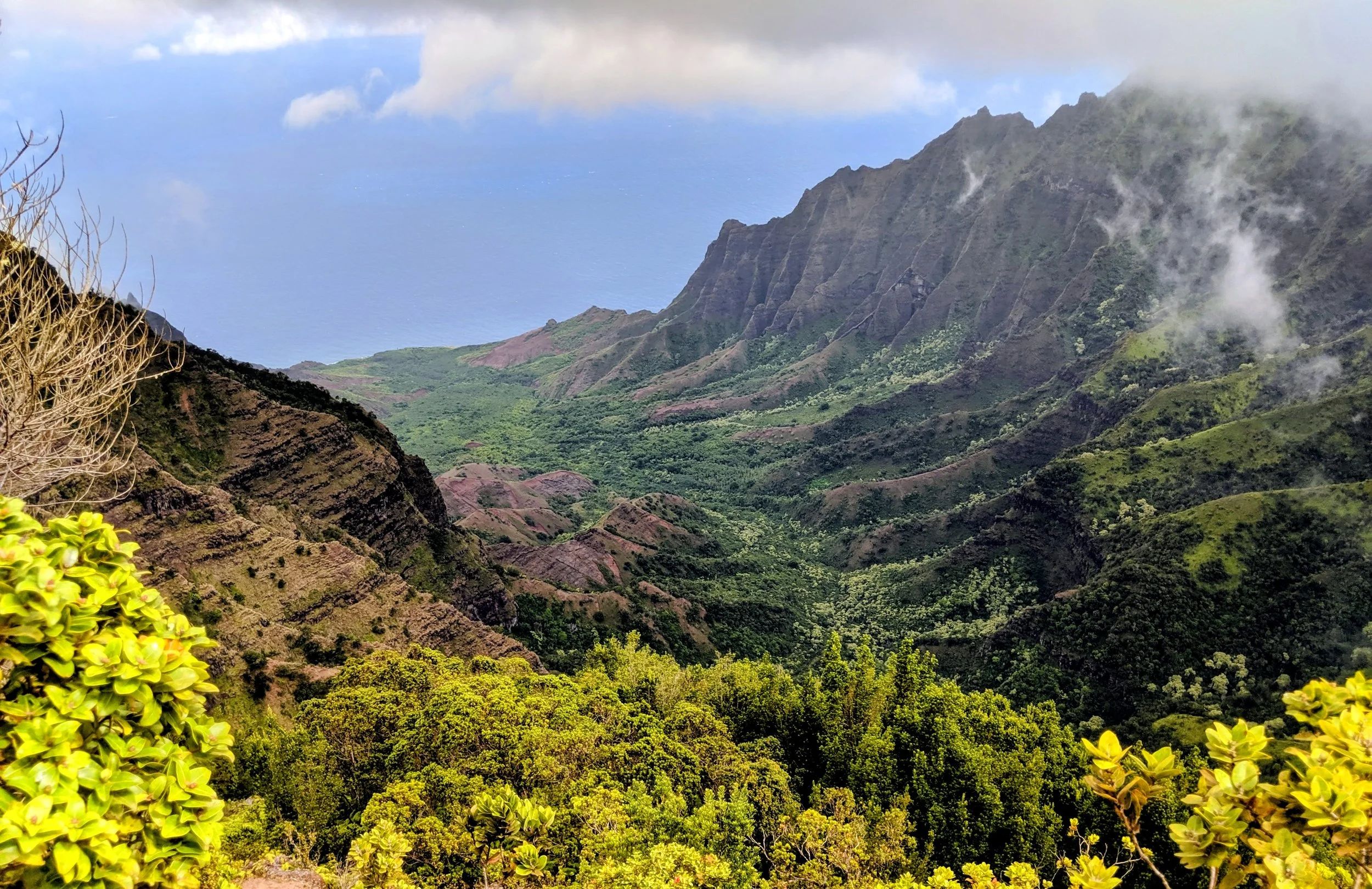 Hono O Nā Pali Natural Area Reserve
Photo by: Anonymous