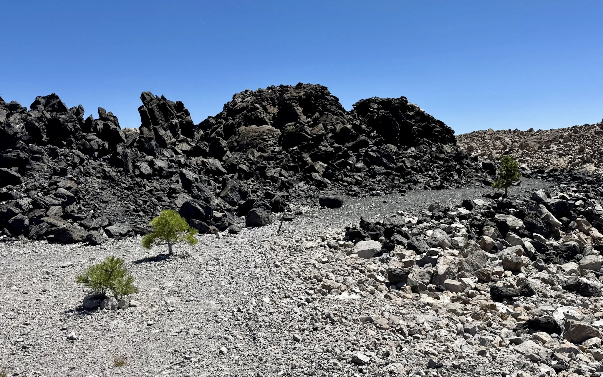 "Stark and volcanic, yet we saw signs of life and flora tucked into crevices everywhere. Bloom where you're planted."
Obsidian Dome, Mammoth Lakes Area
Photo and reflection by: Traci Schuck