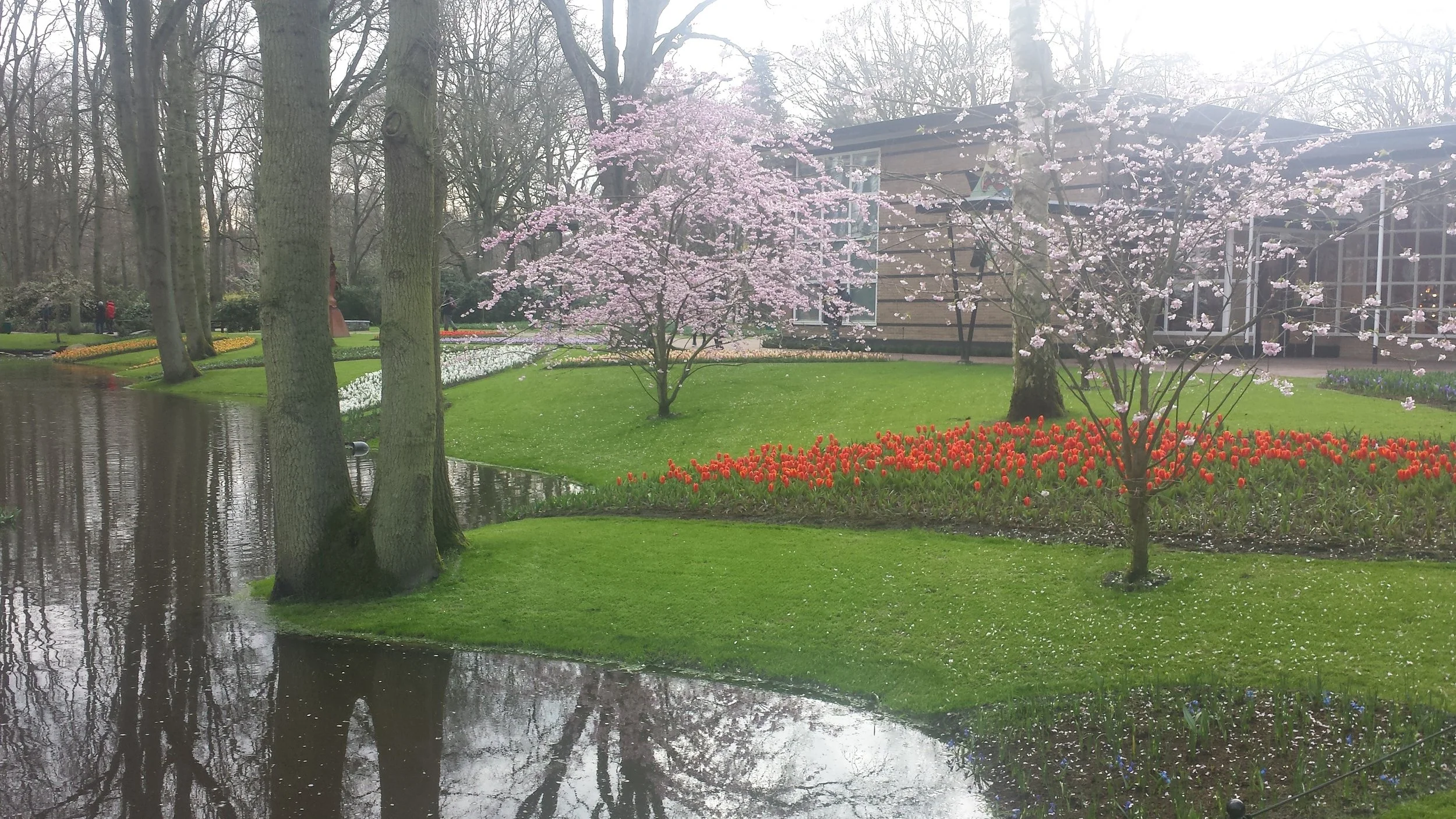 Keukenhof Gardens, Lisse Netherlands, photo by: Traci Schuck