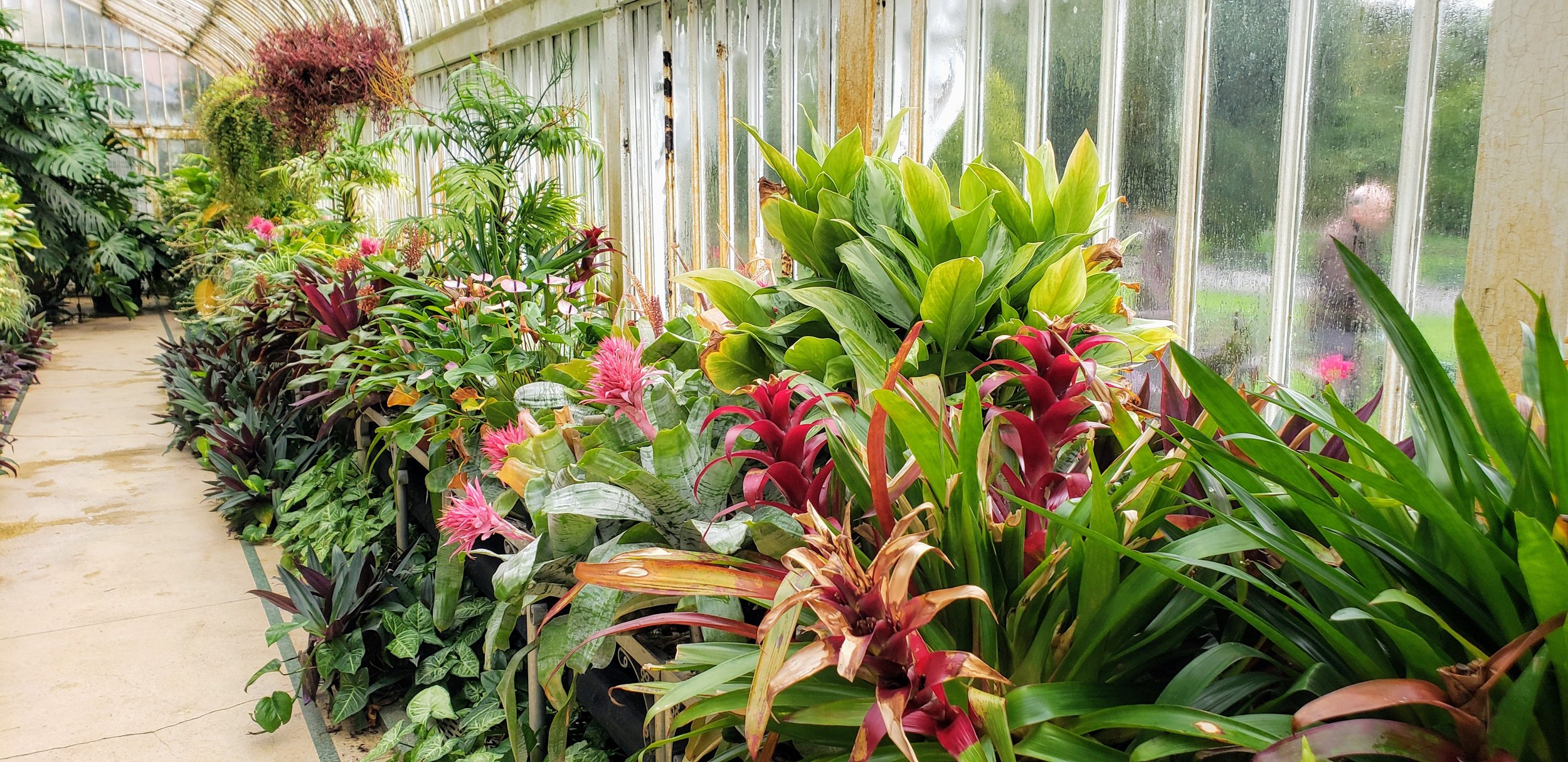 Belfast City Park, Northern Ireland, photo by: Traci Schuck