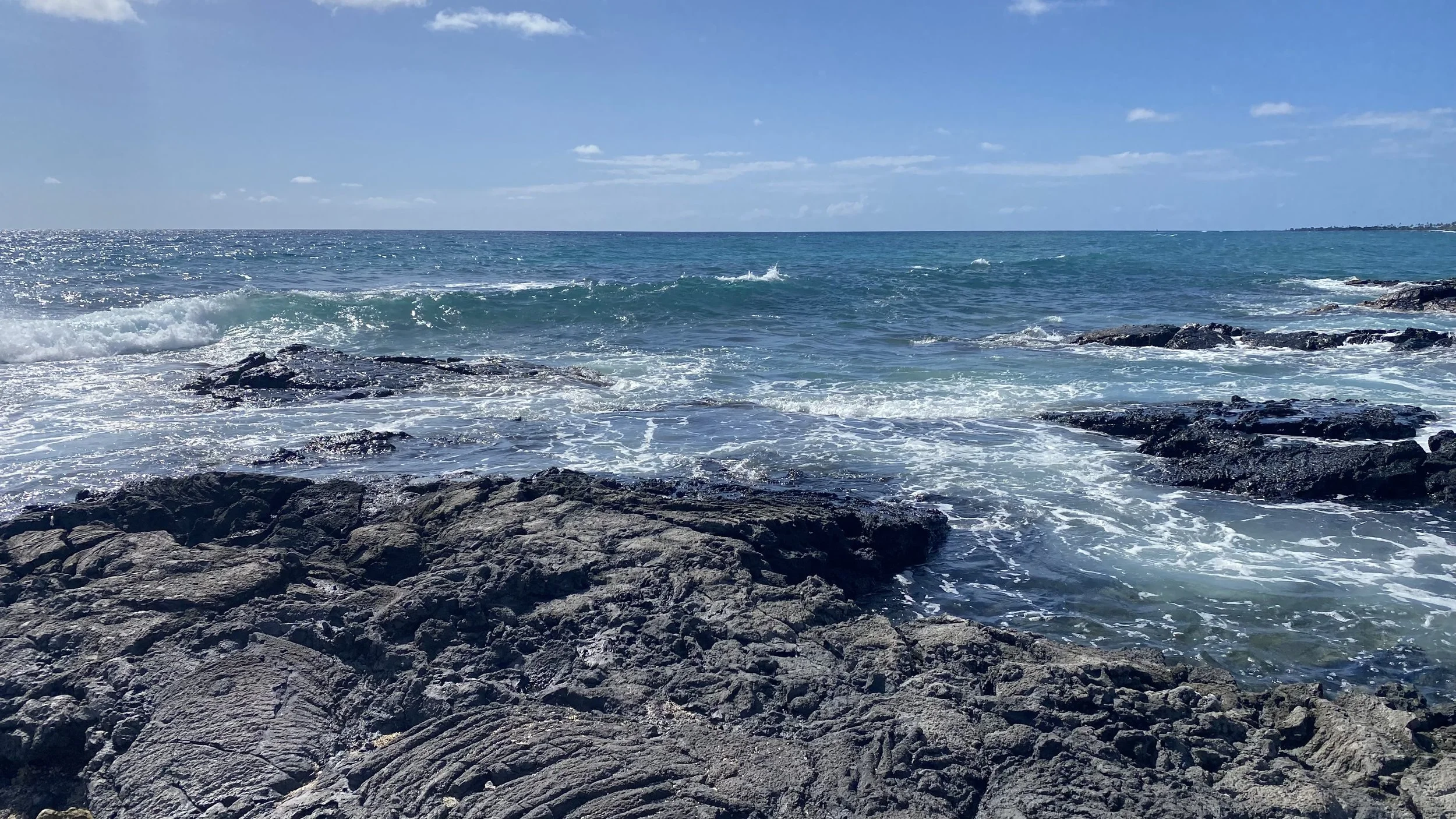 Kona
Photo by: Anonymous