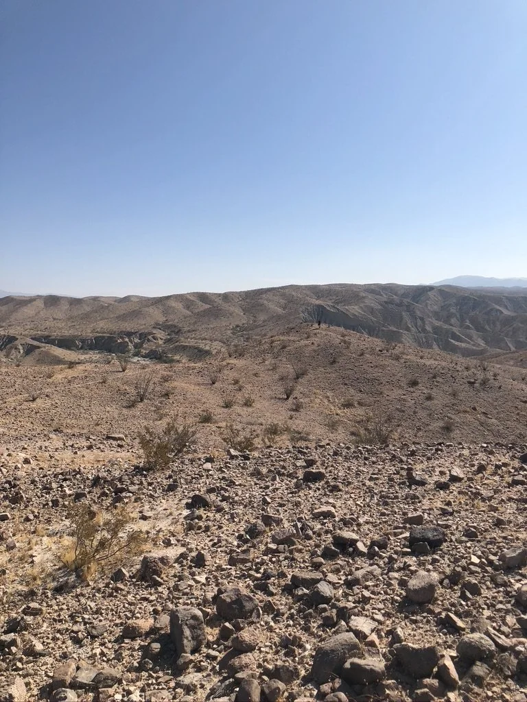 desert20 - Brian Parcel.jpeg