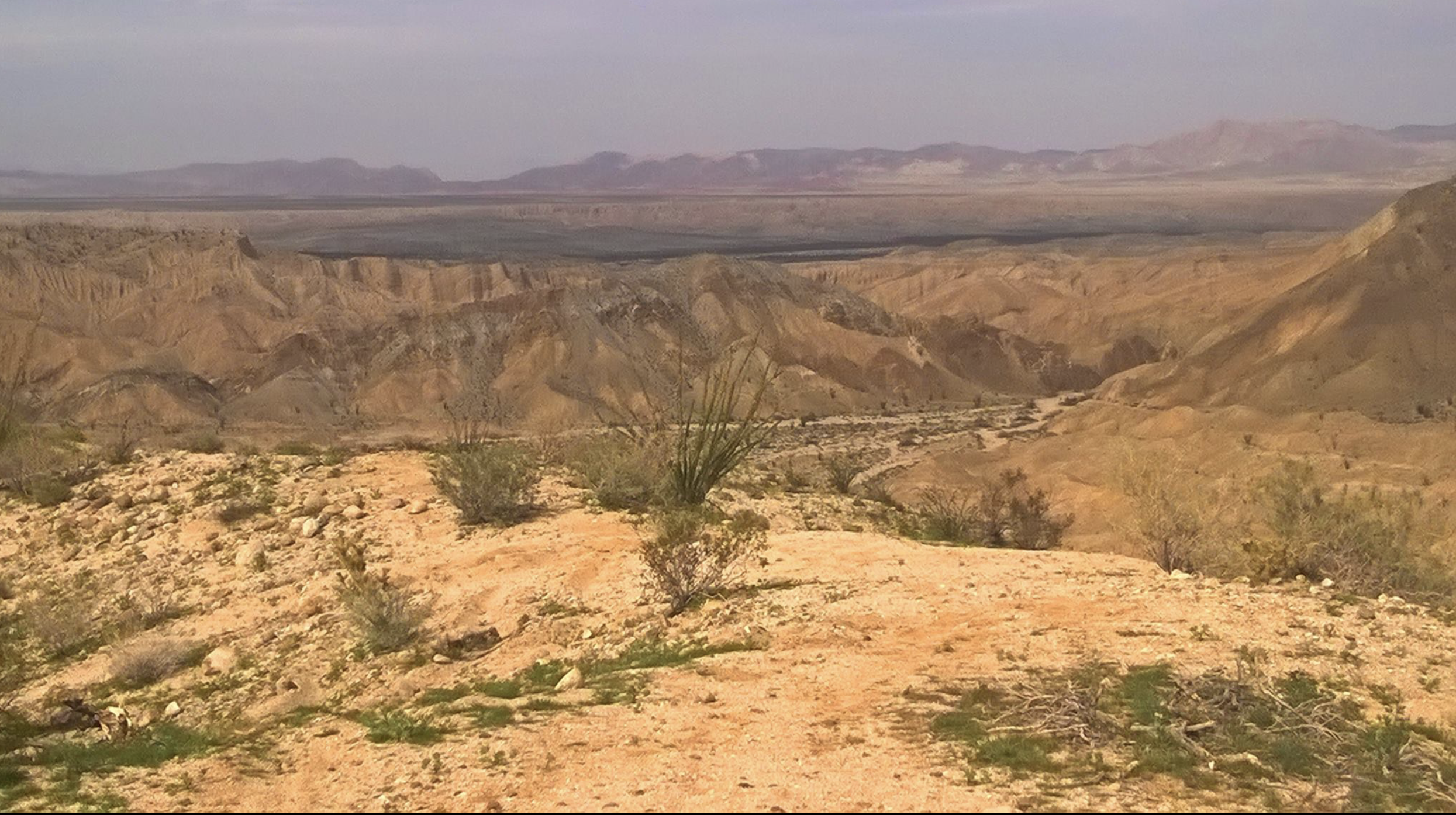 "God is always with us. His provisions, however stark, are there for us.", Anza-Borrego Desert, California, photo and description by: Jill Van Wormer