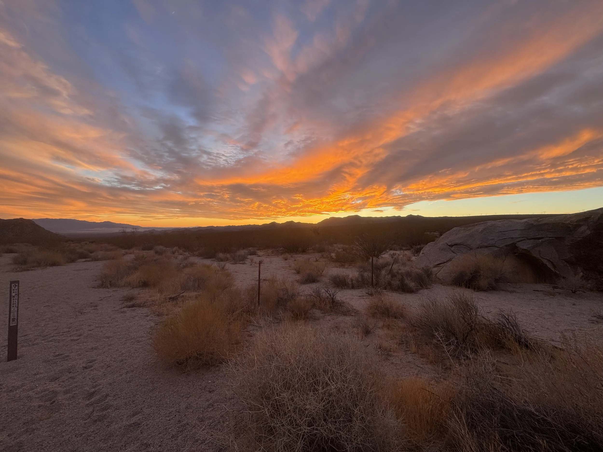 Mojave National Preserve, photo by: Traci Schuck