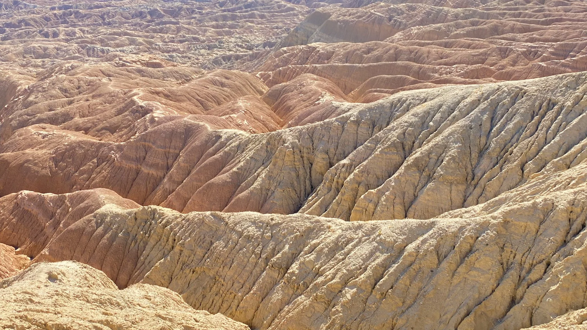 "In the middle of nowhere, miles from civilization and surrounded by wilderness, God was there."
Anza Borrego Desert State Park
Photo and reflection by: Traci Schuck
