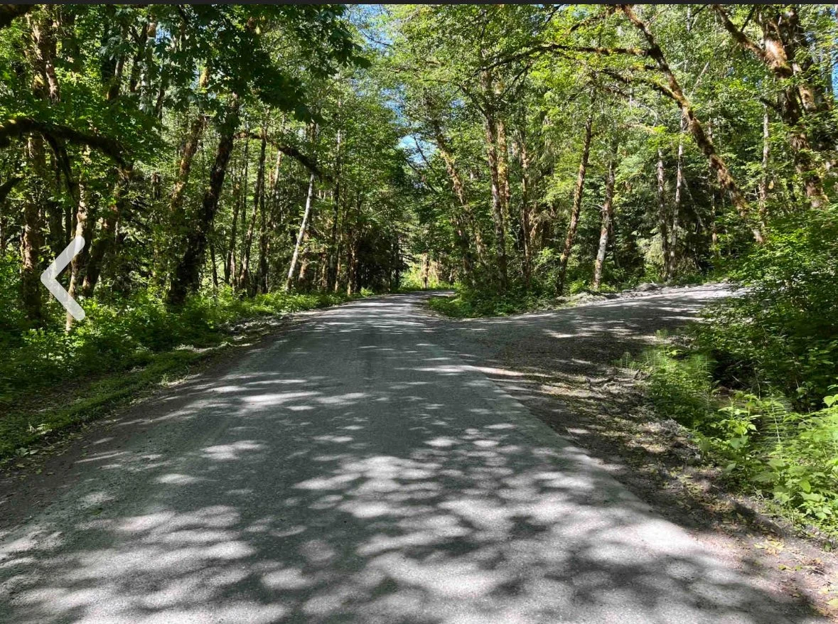 Northern CA forest road, photo by: Traci Schuck