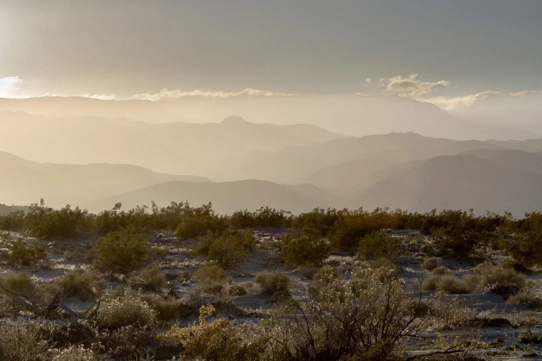 "This west-facing view looks out over the vast desert toward the Laguna Mountains."
West Mesa, Anza Borrego Desert State Park
Photo and reflection by: Traci Schuck