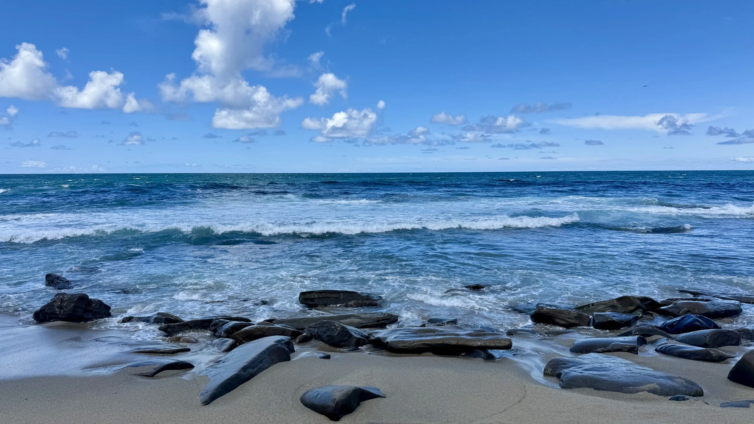 Torrey Pines
Photo by: Anonymous