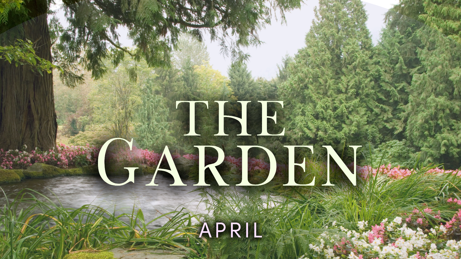 A sign of new beginnings and resurrection where life, hope, and joy are planted and bloom again.