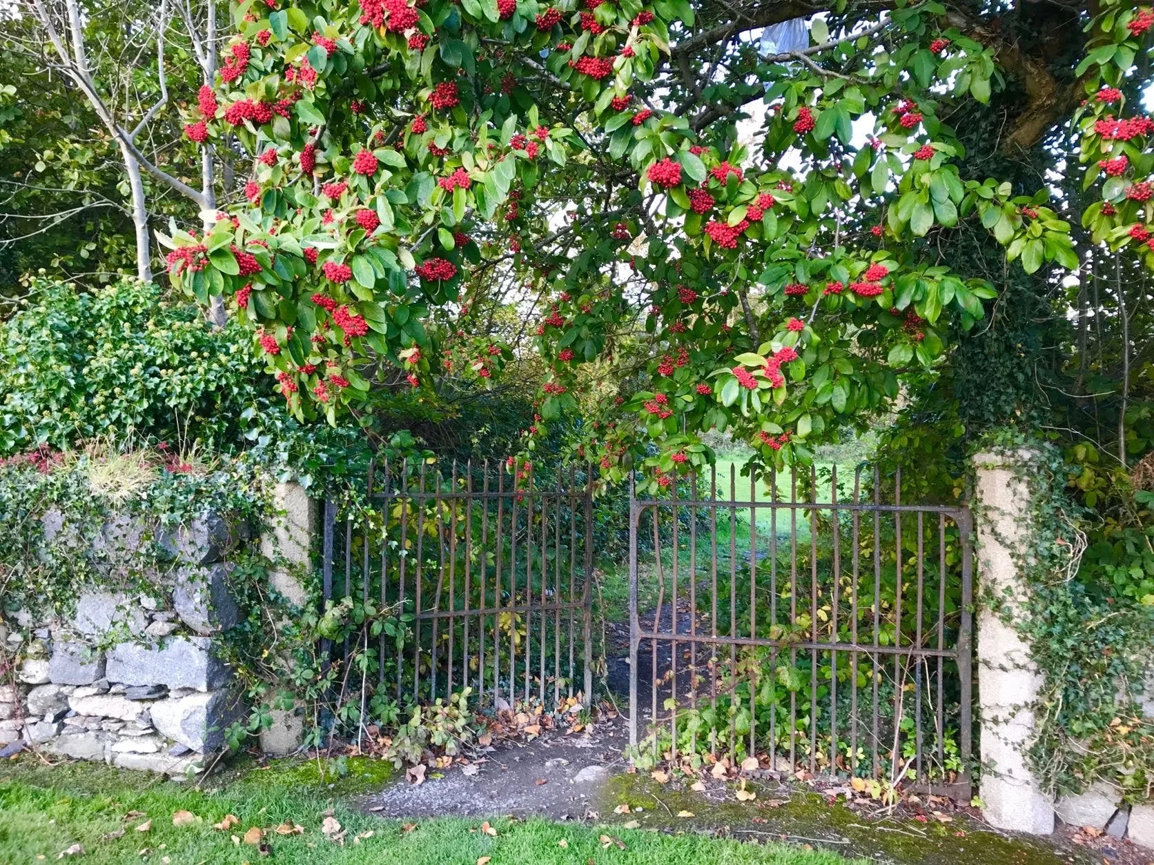 English Garden, photo by: Traci Schuck