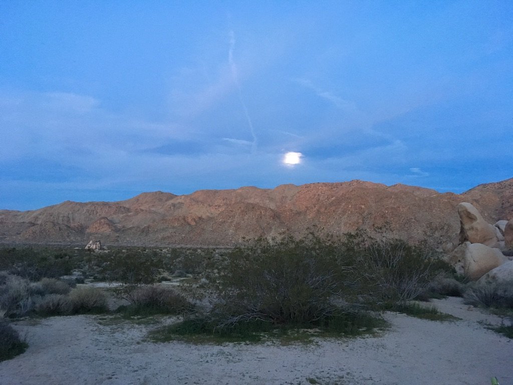 desert9 - Brian Parcel.jpeg