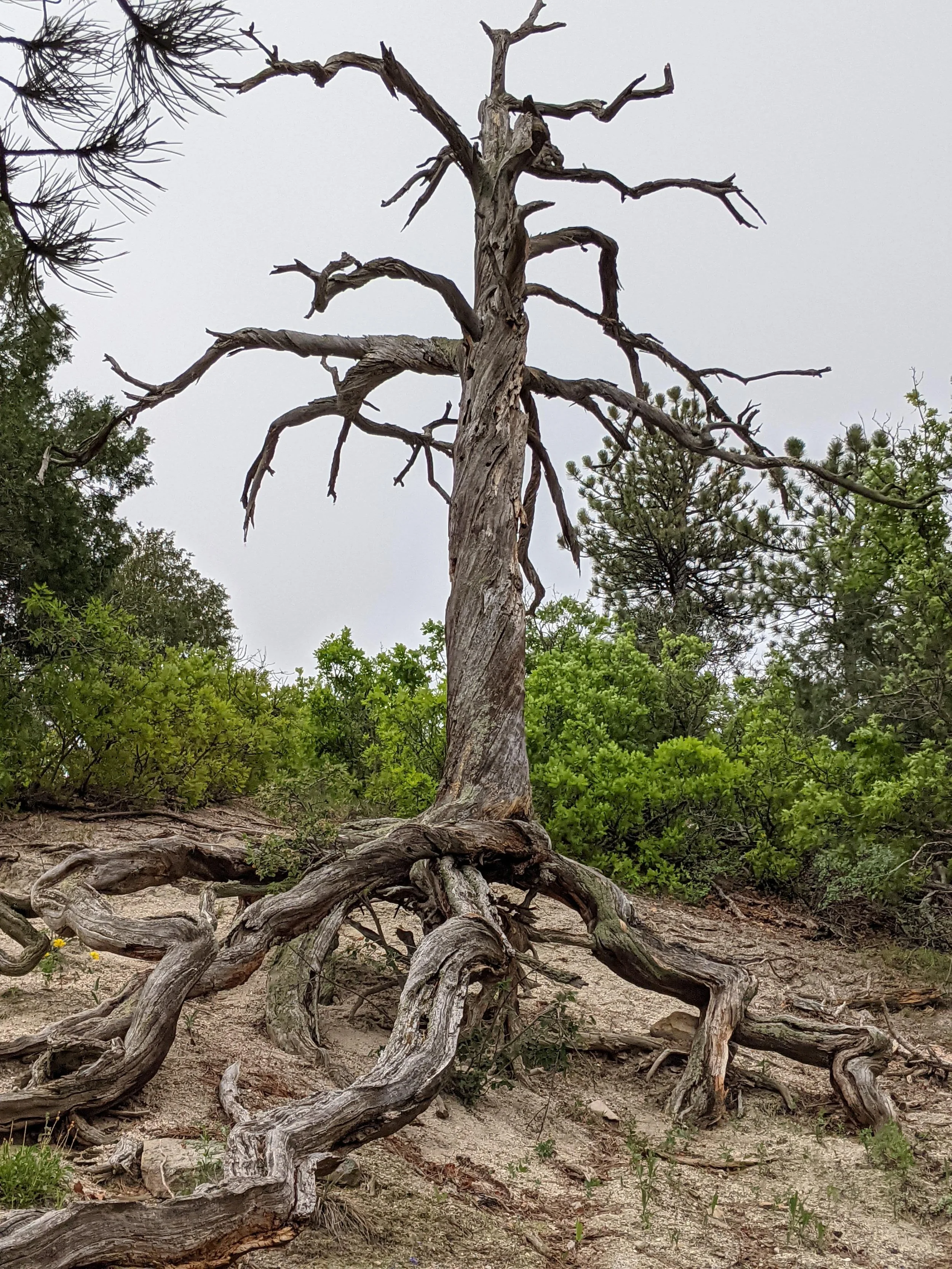 Colorado

Photo by: Carrie Buchan