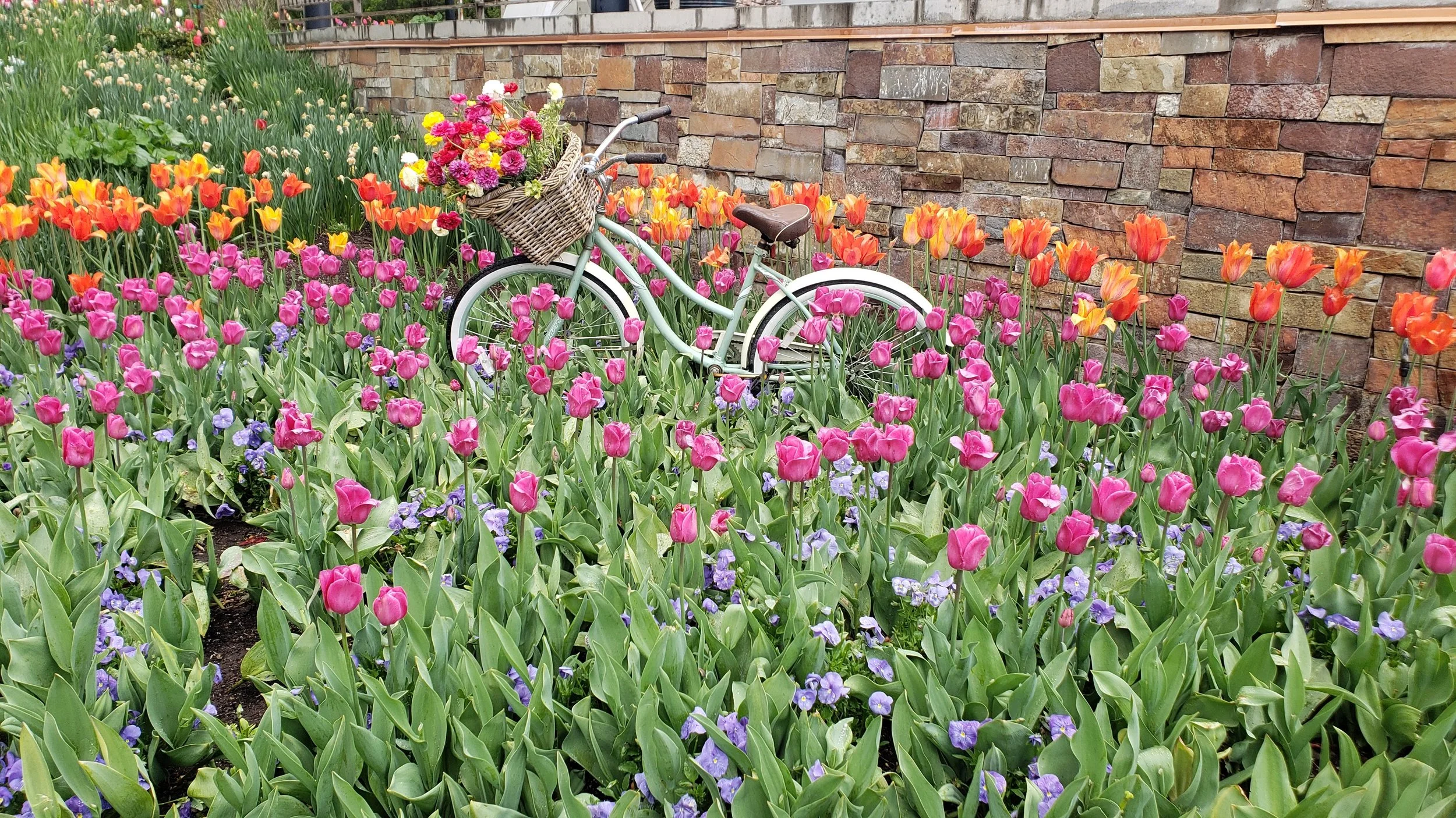 Ashton Gardens, Lehi UT, photo by: Traci Schuck