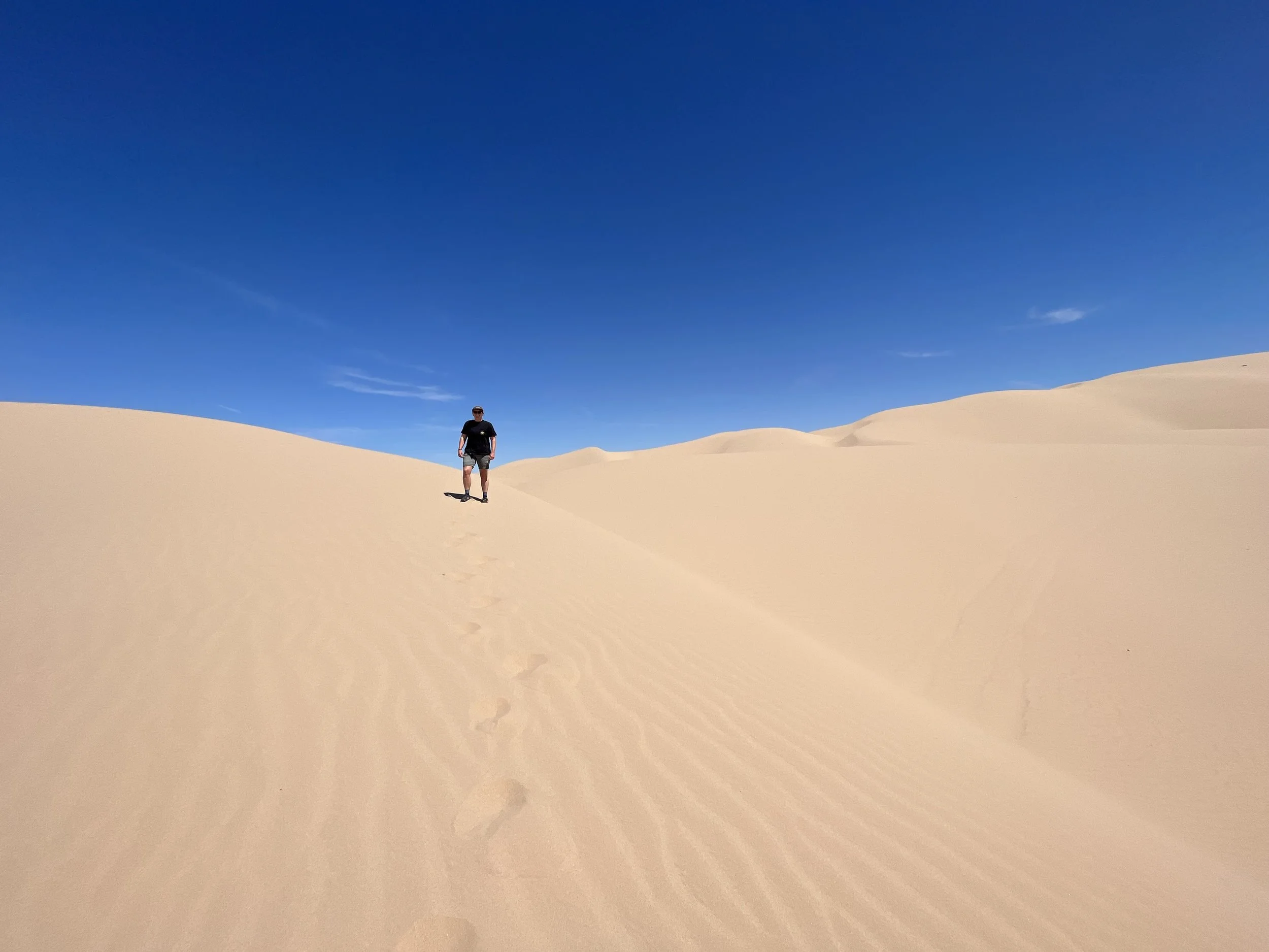 "Beauty and clarity in the barren landscape.", Imperial County Sand Dunes, photo and description by: Sarah