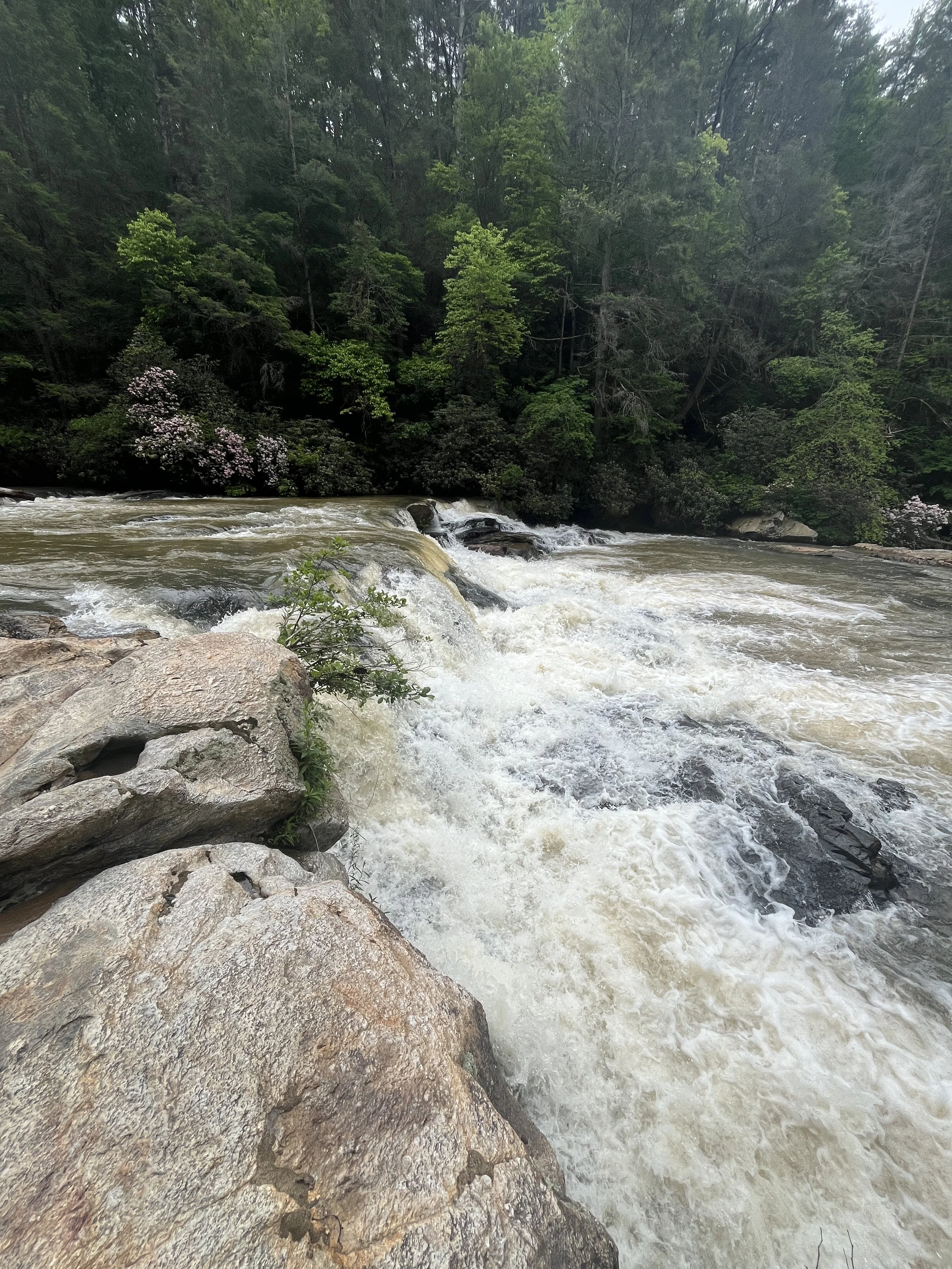 "Atlanta, Georgia"
Photo by Rev. Brian Parcel