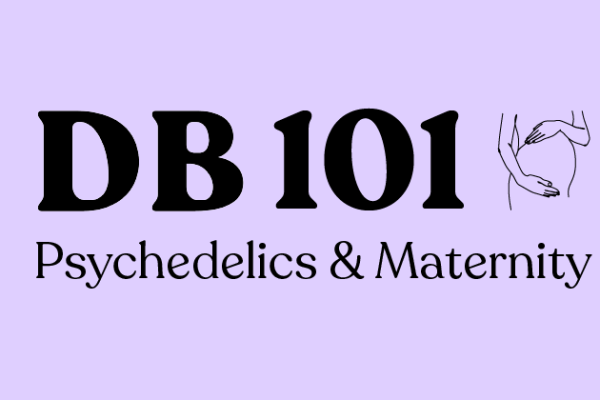 db 101.png