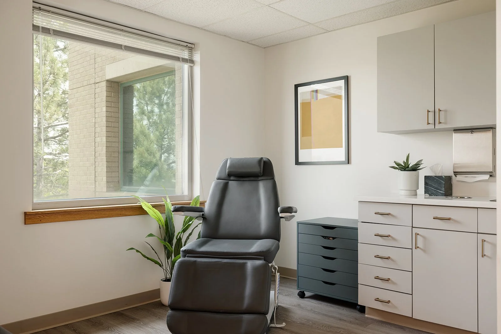 Karyn Wingard Office Photoshoot1727.jpg