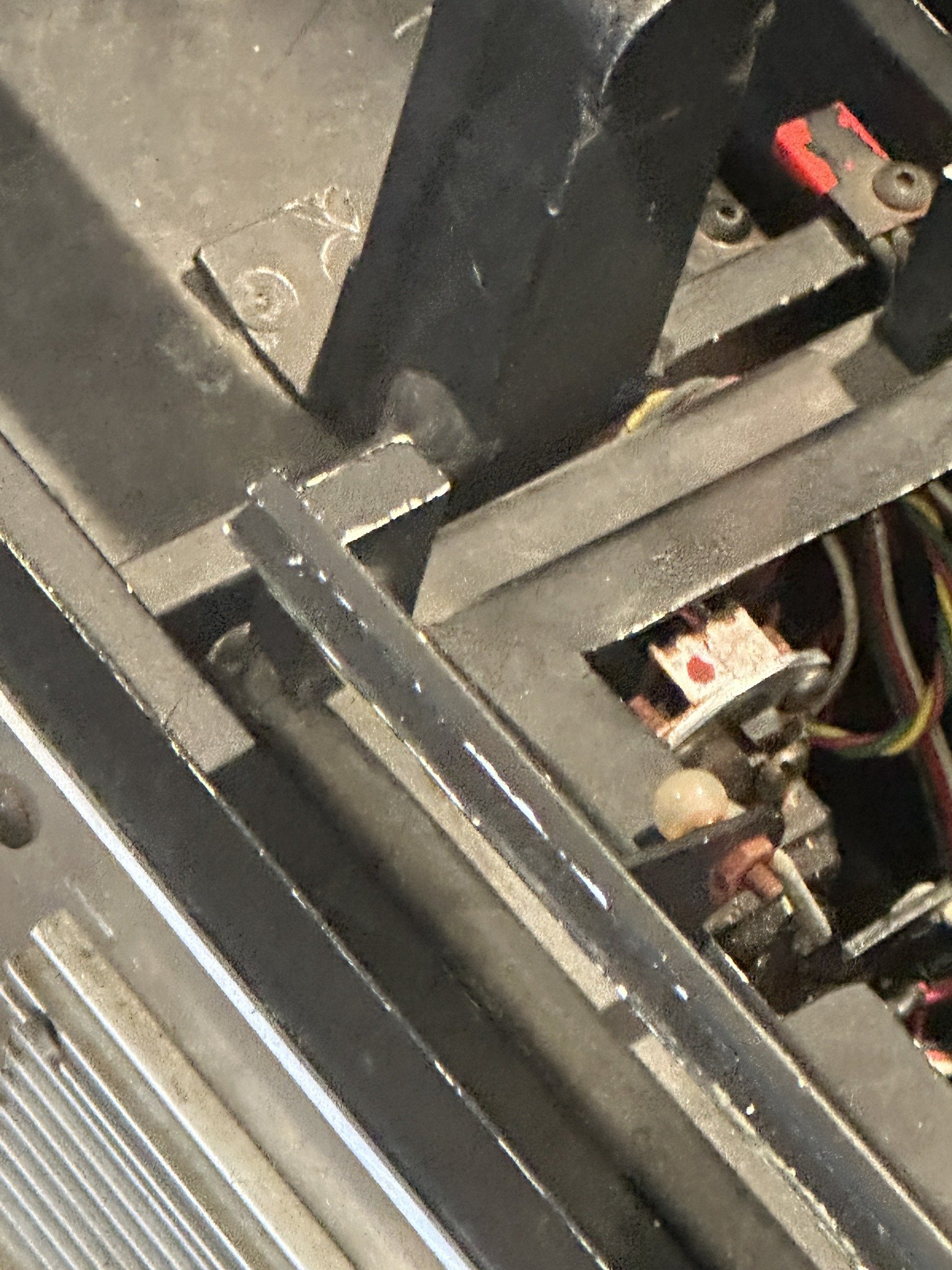 486647543_10162609092412002_5066355899352878216_n.jpg
