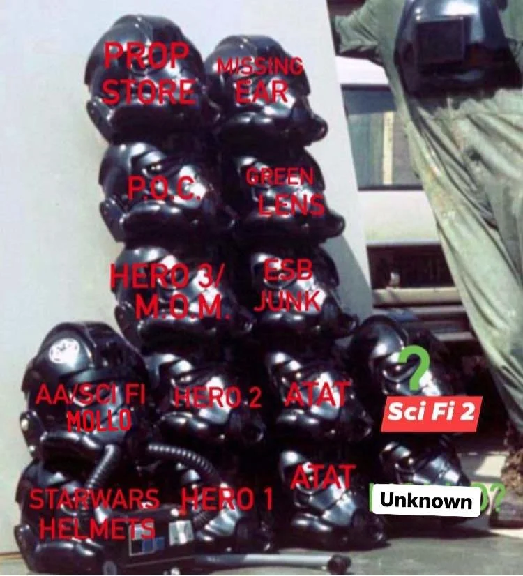 241352362_374275744253701_2180197238402517556_n.jpg