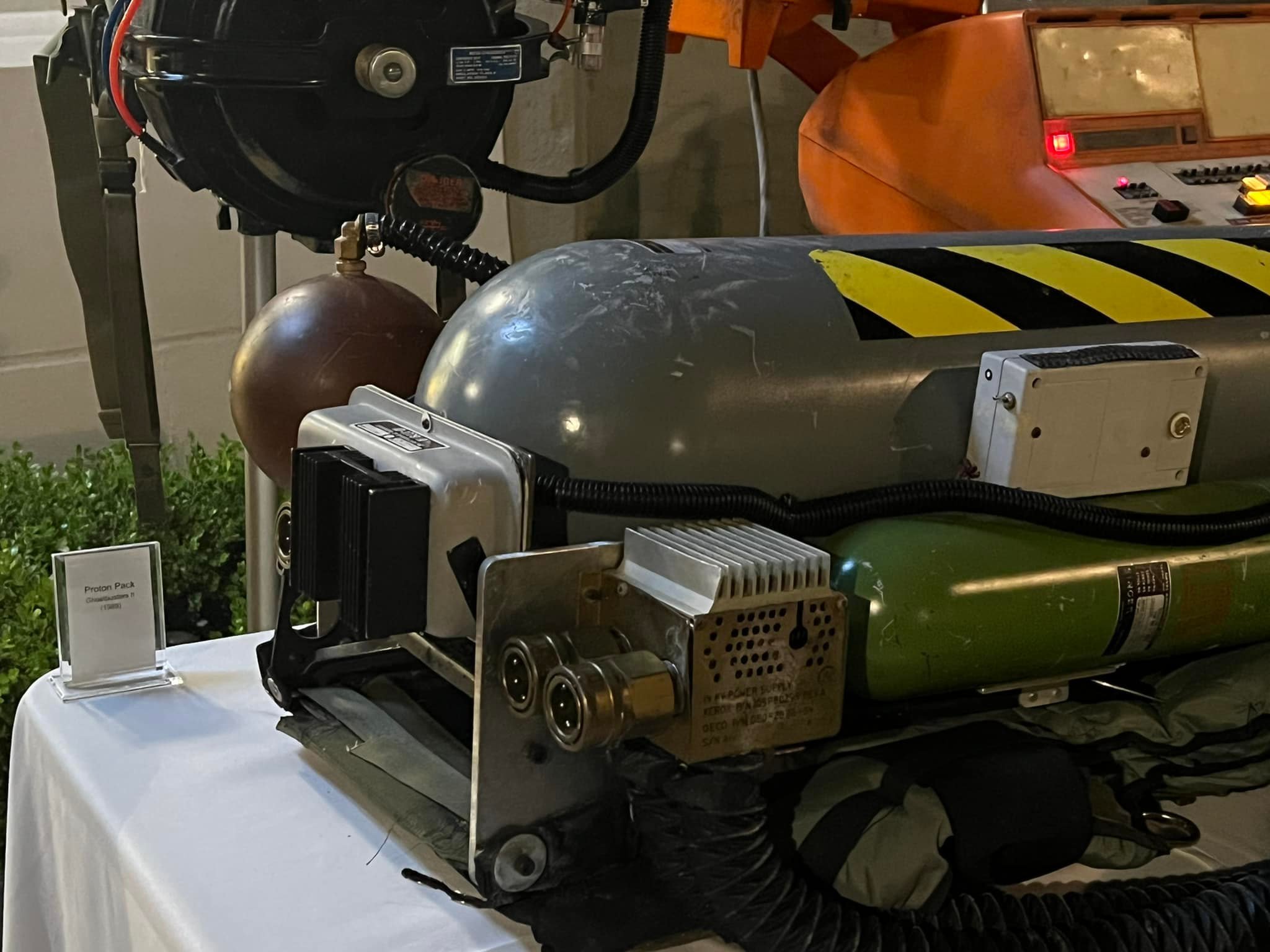 286737464_1397470294101773_2537983516669910879_n.jpg