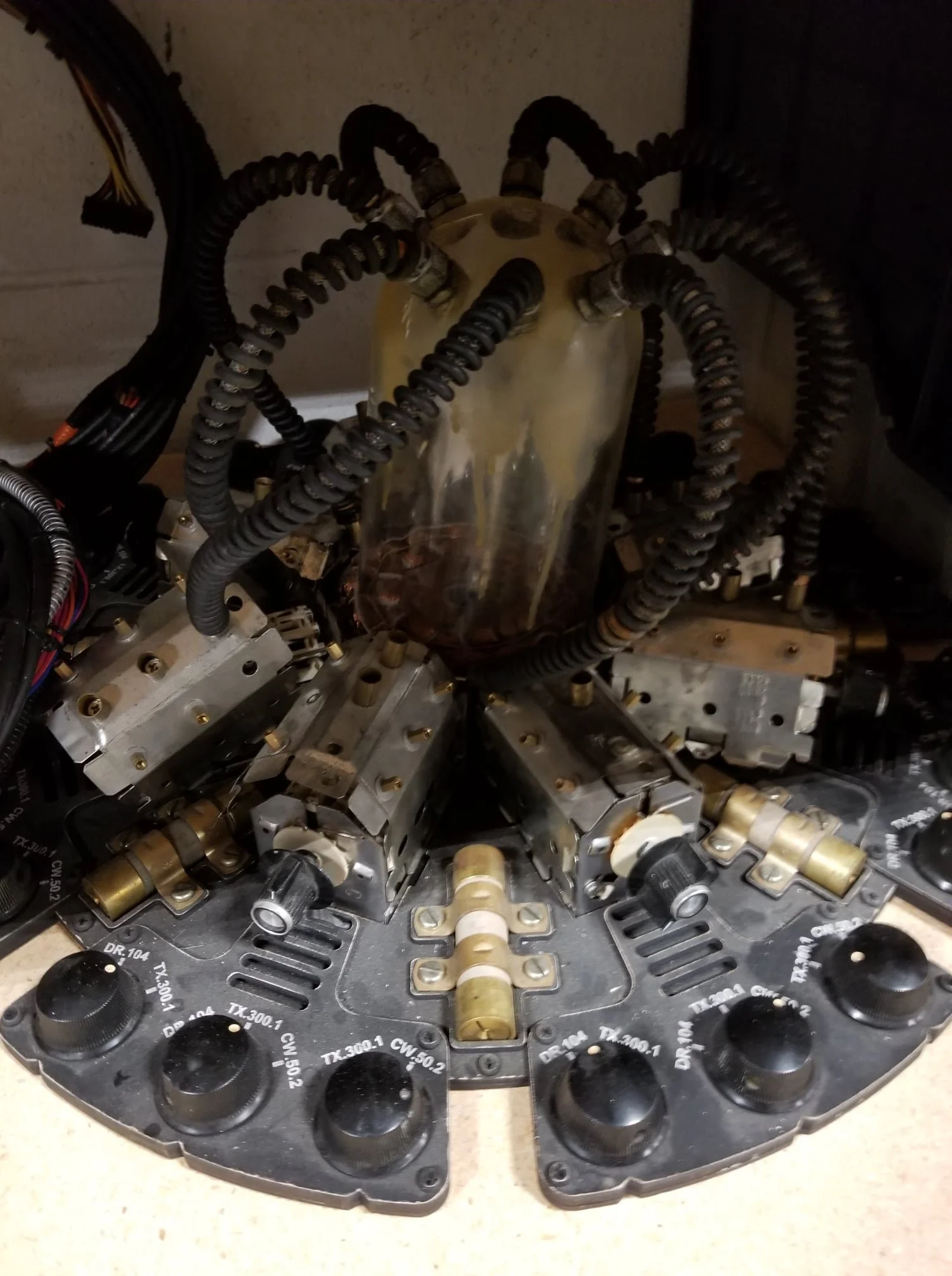 268317883_10159719132319819_8173134907339827536_n.jpg