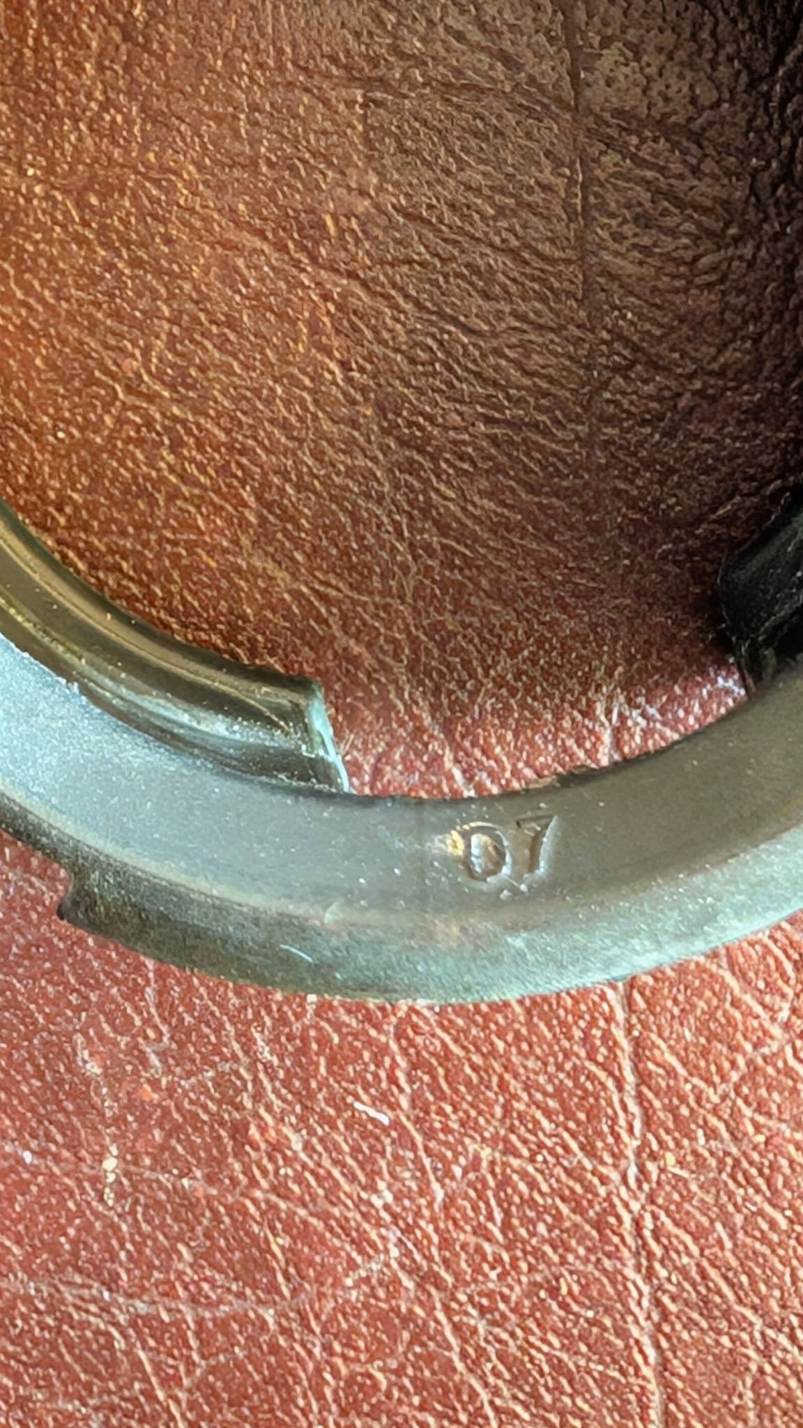 472510144_10162277640002520_3312242717769213325_n.jpg