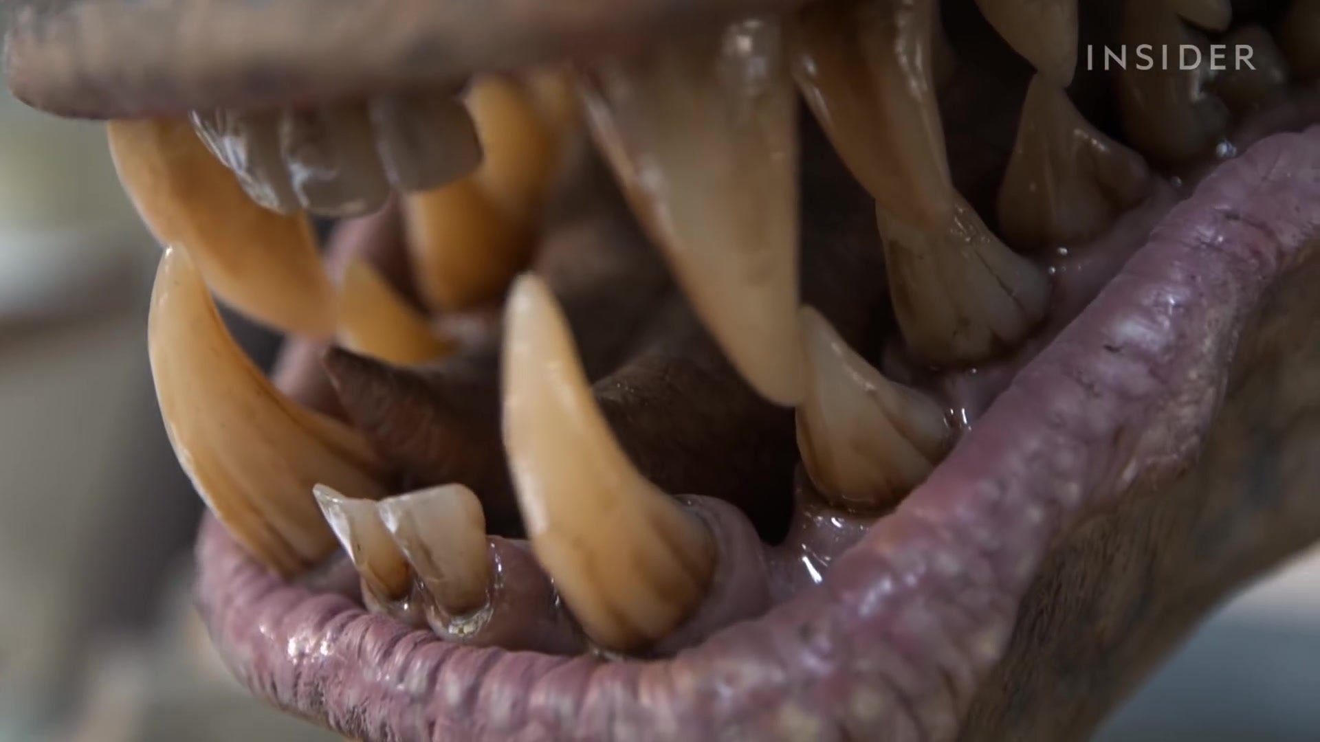 How Ghostbusters' 450-Pound Monster Was Created _ Movies Insider 0509.jpg