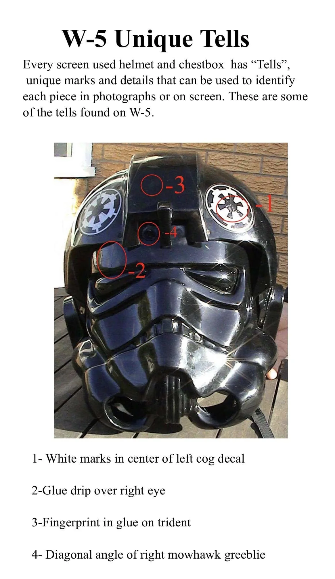 467869784_1092847232396545_1899325368890782208_n.jpg