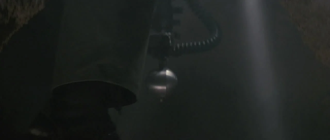 175424406_183452236946400_4308521477674673688_n.jpg