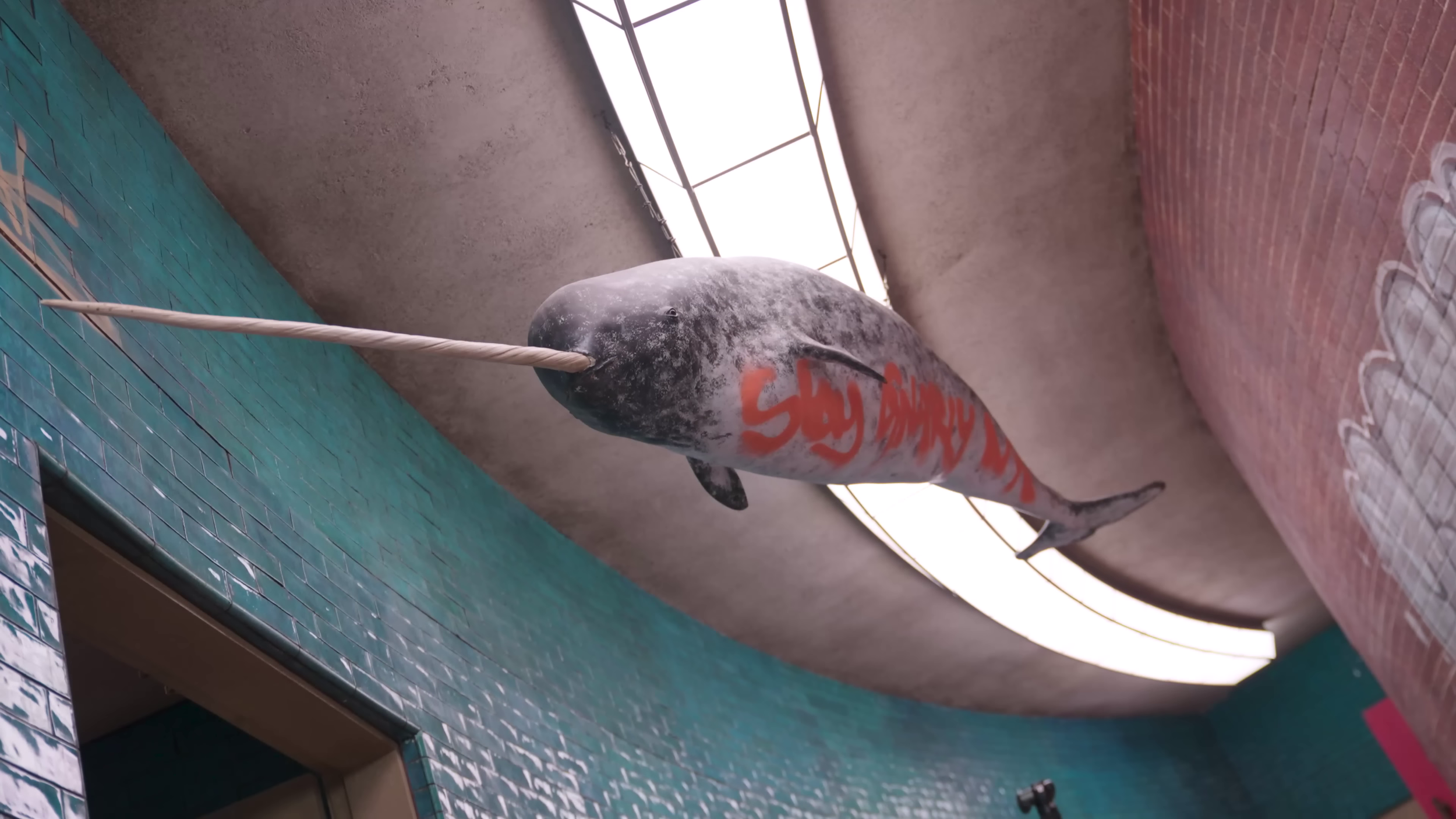 vlcsnap-2024-03-26-14h36m44s259.png
