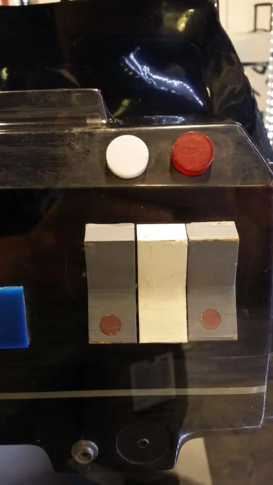 241020739_367499548264654_7769155833666885057_n.jpg