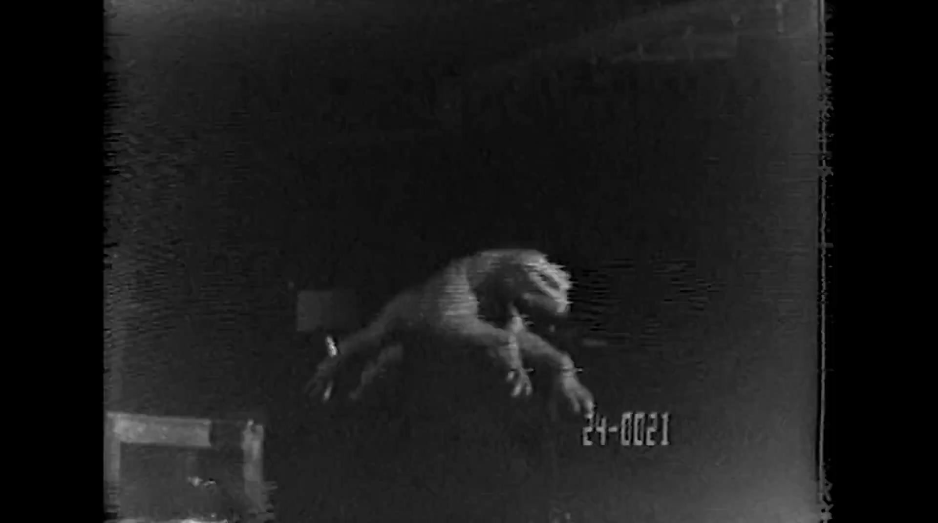 x1 (1359).jpg