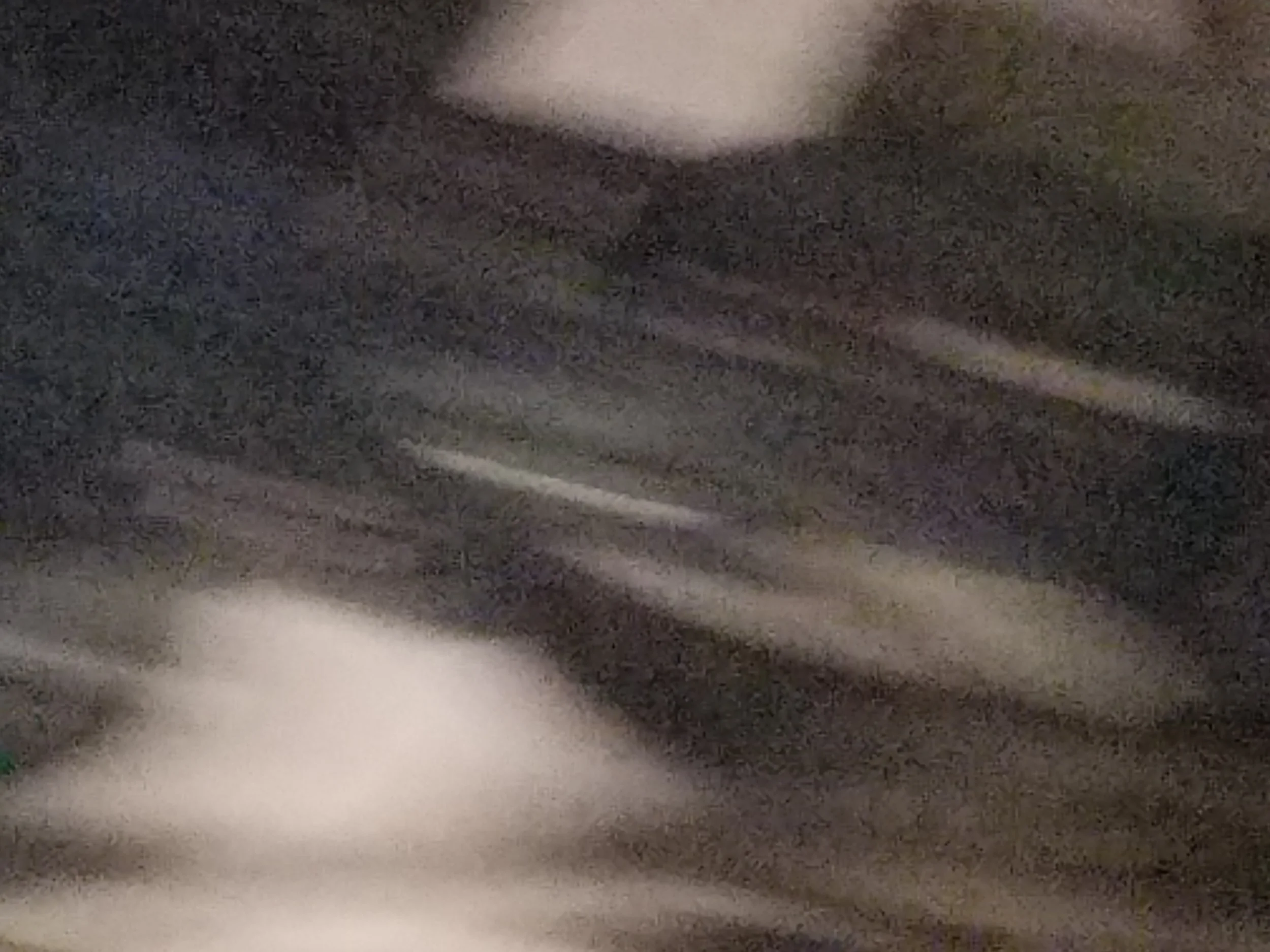 20170511_141808.jpg