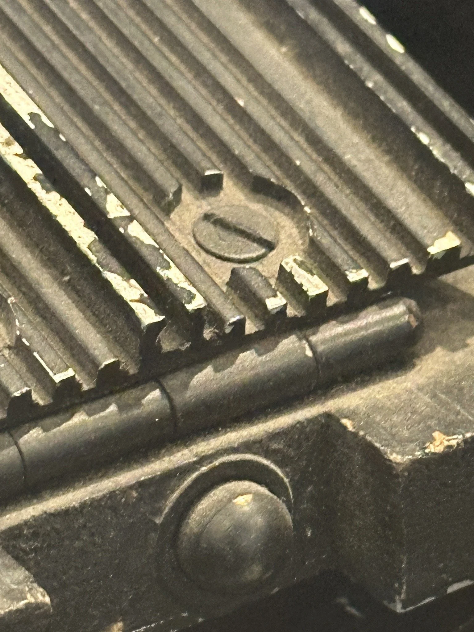 487374379_10162609093017002_4076474851602135329_n.jpg