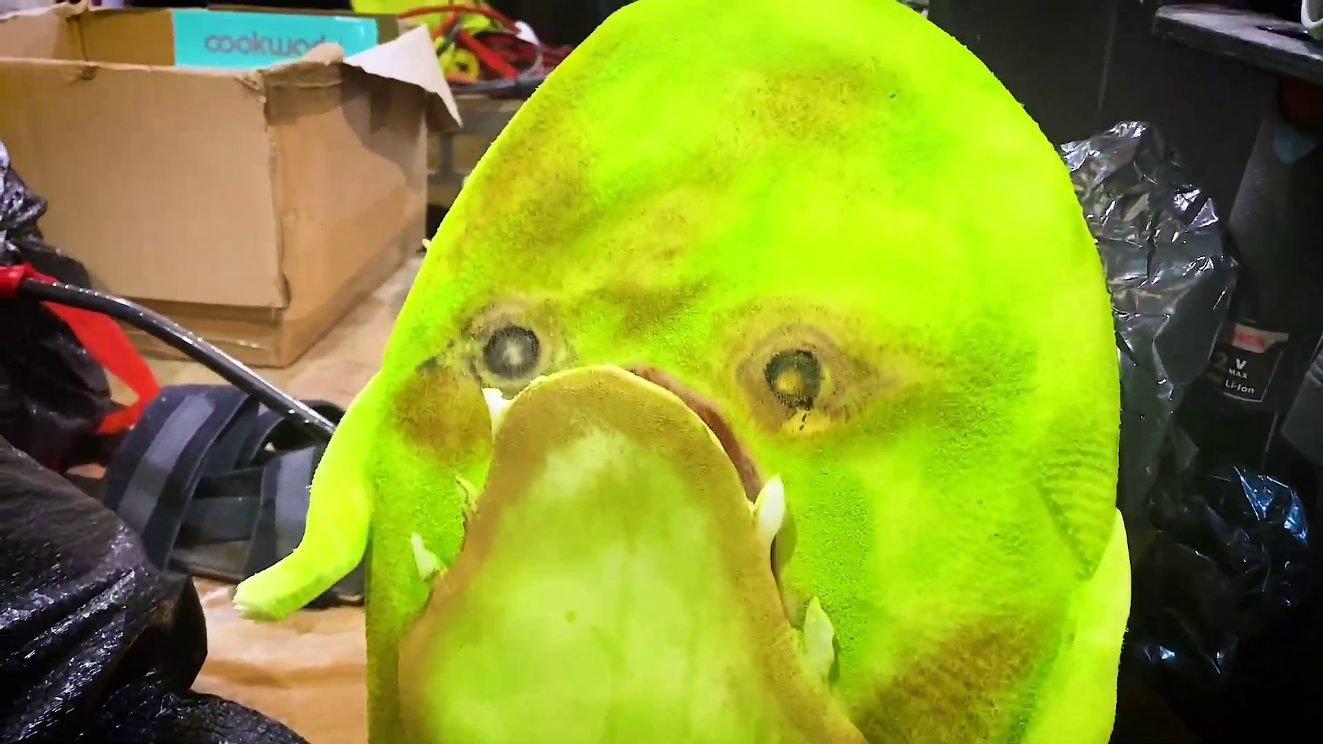 vlcsnap-2024-03-08-14h15m18s722.png