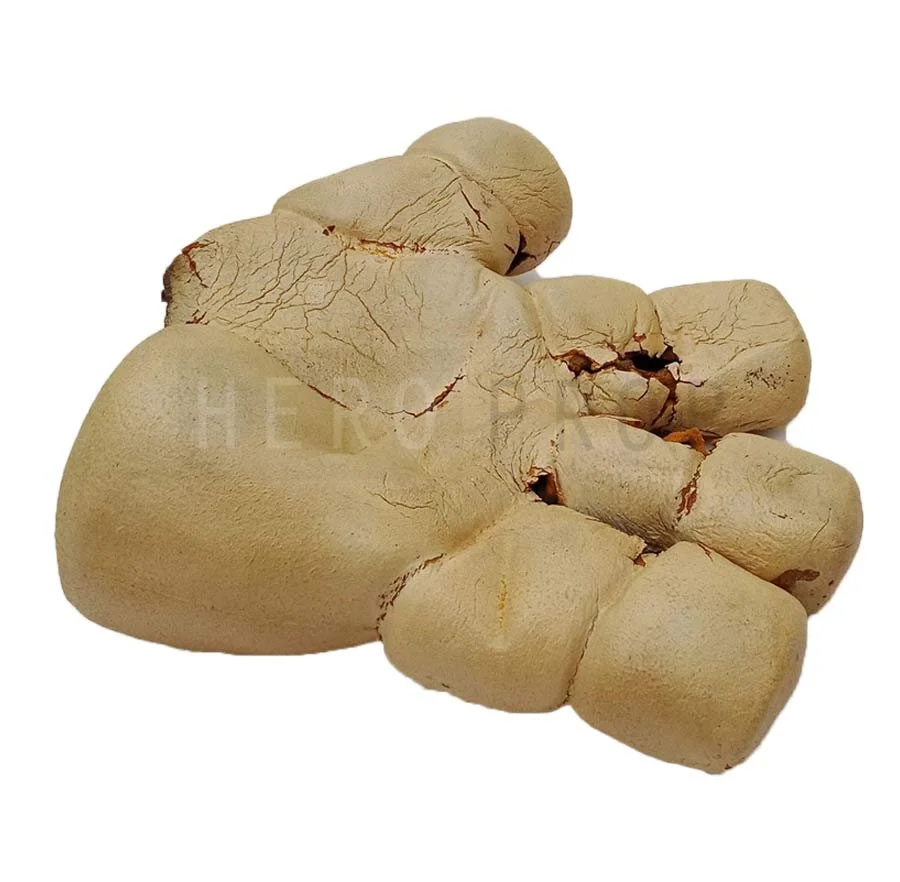 A-Stay-Puft-Marshmallow-Man-hand-from_Ghostbusters_Movie-Prop.jpg