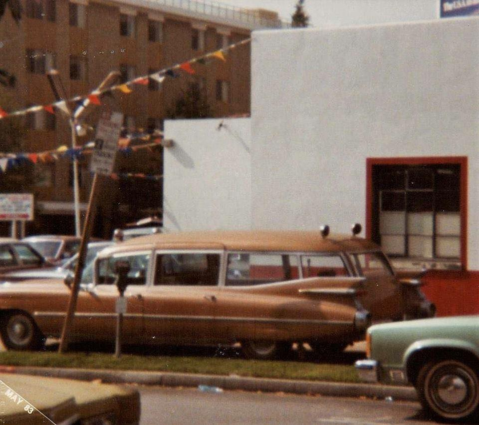 51978503_10157096989117070_9132483317621325824_n.jpg