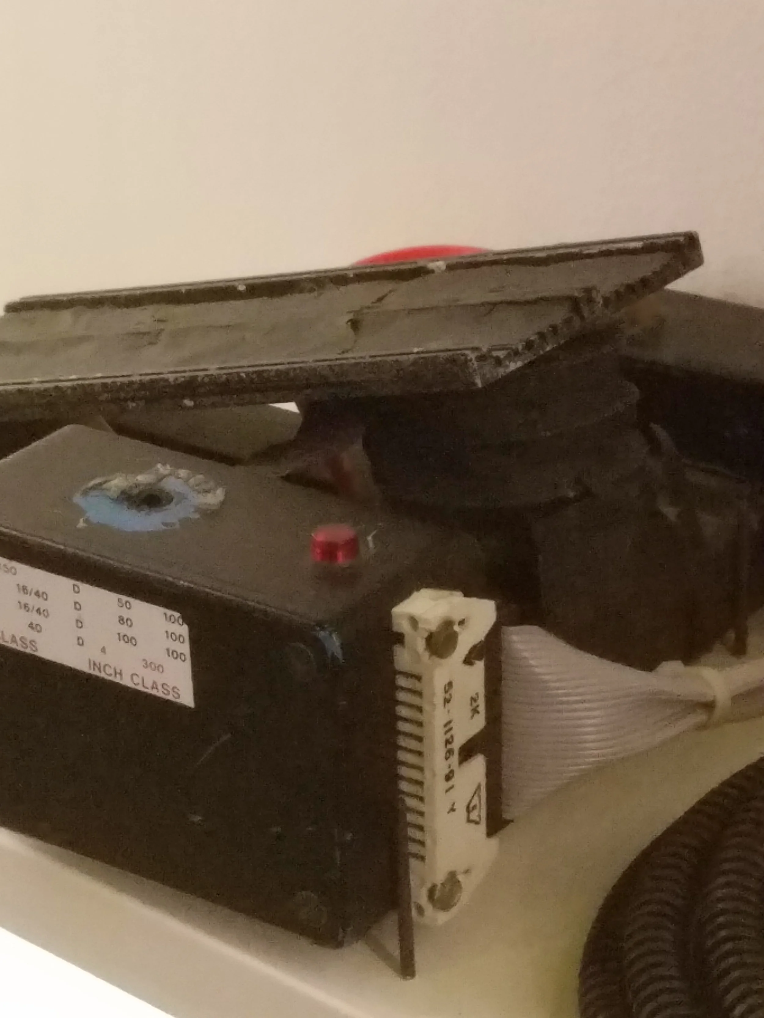 20170511_121153.jpg
