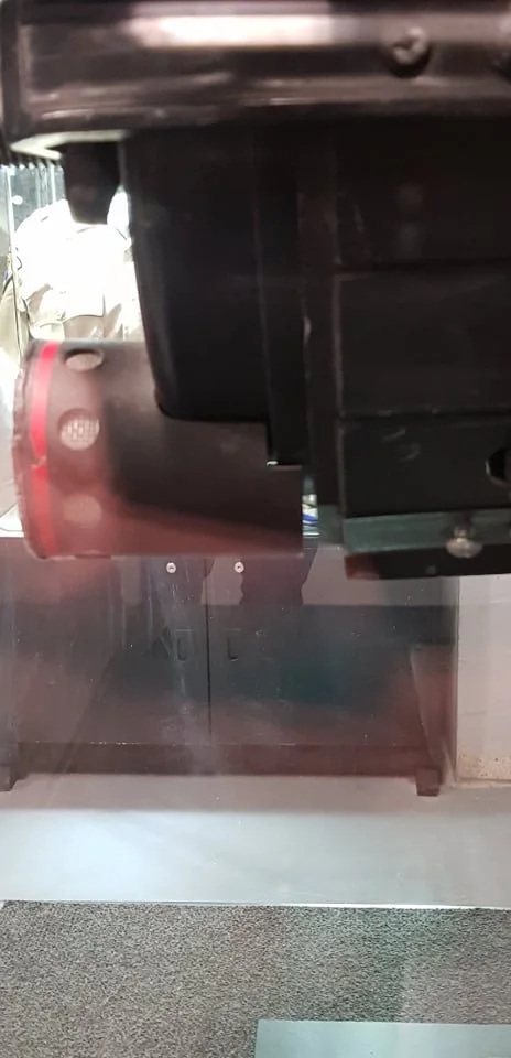 244573612_4375088312581667_7257031362885772290_n.jpg