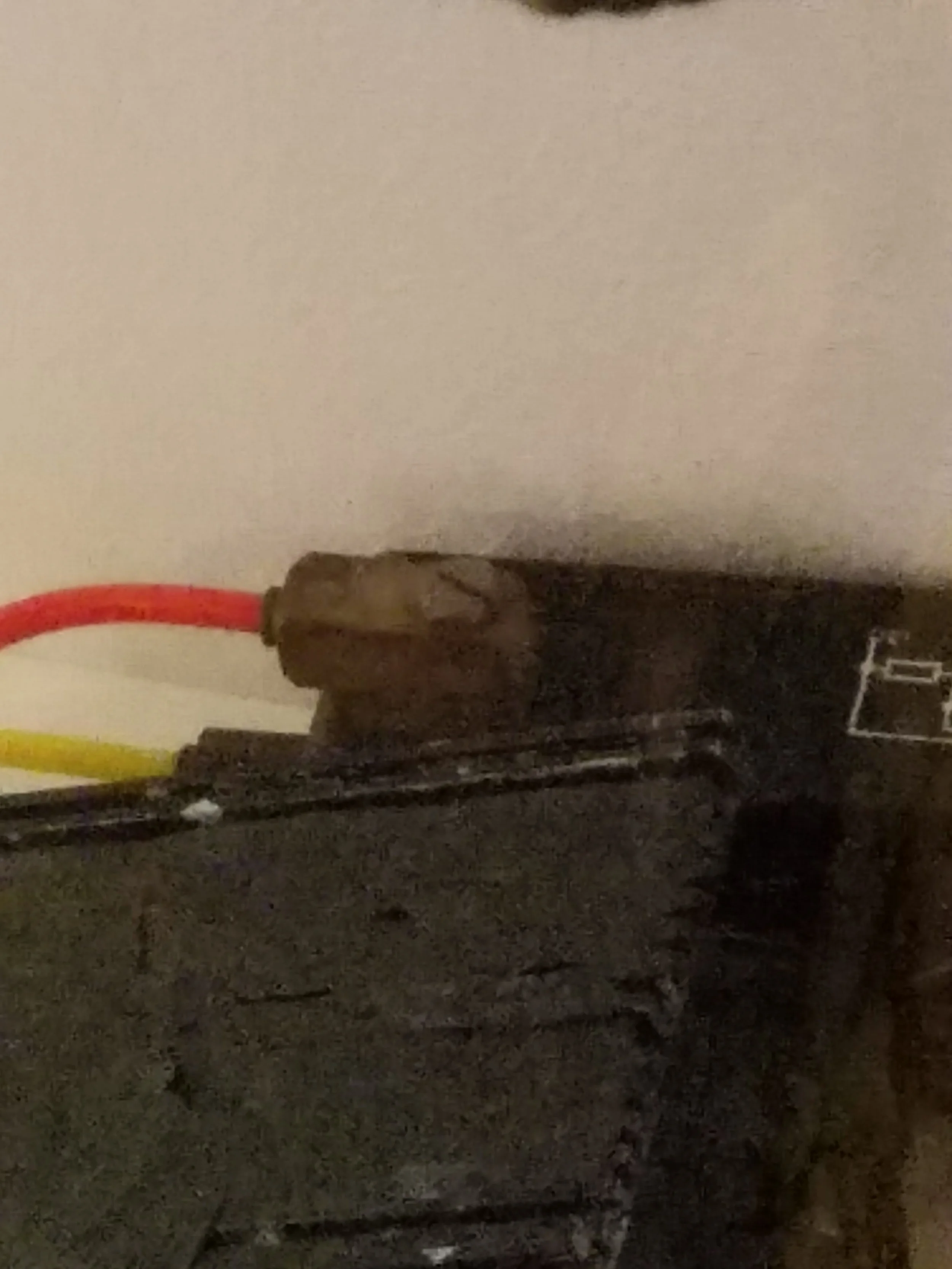 20170511_122433.jpg