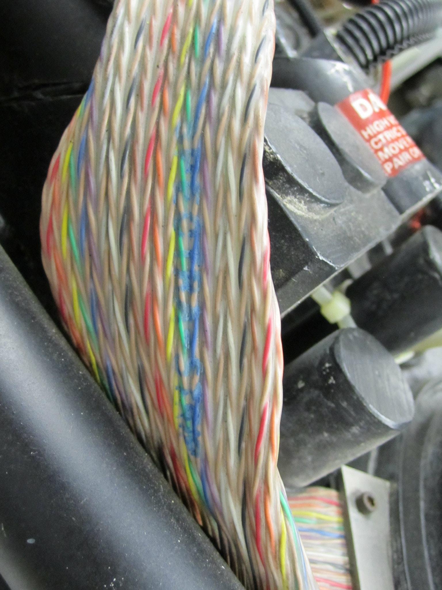282382086_10101920361392838_8061239133348340922_n.jpg