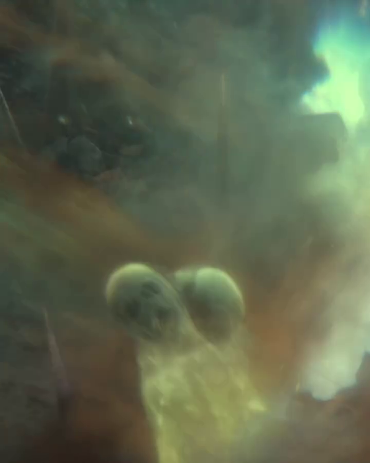 vlcsnap-2024-02-28-23h50m45s274.png