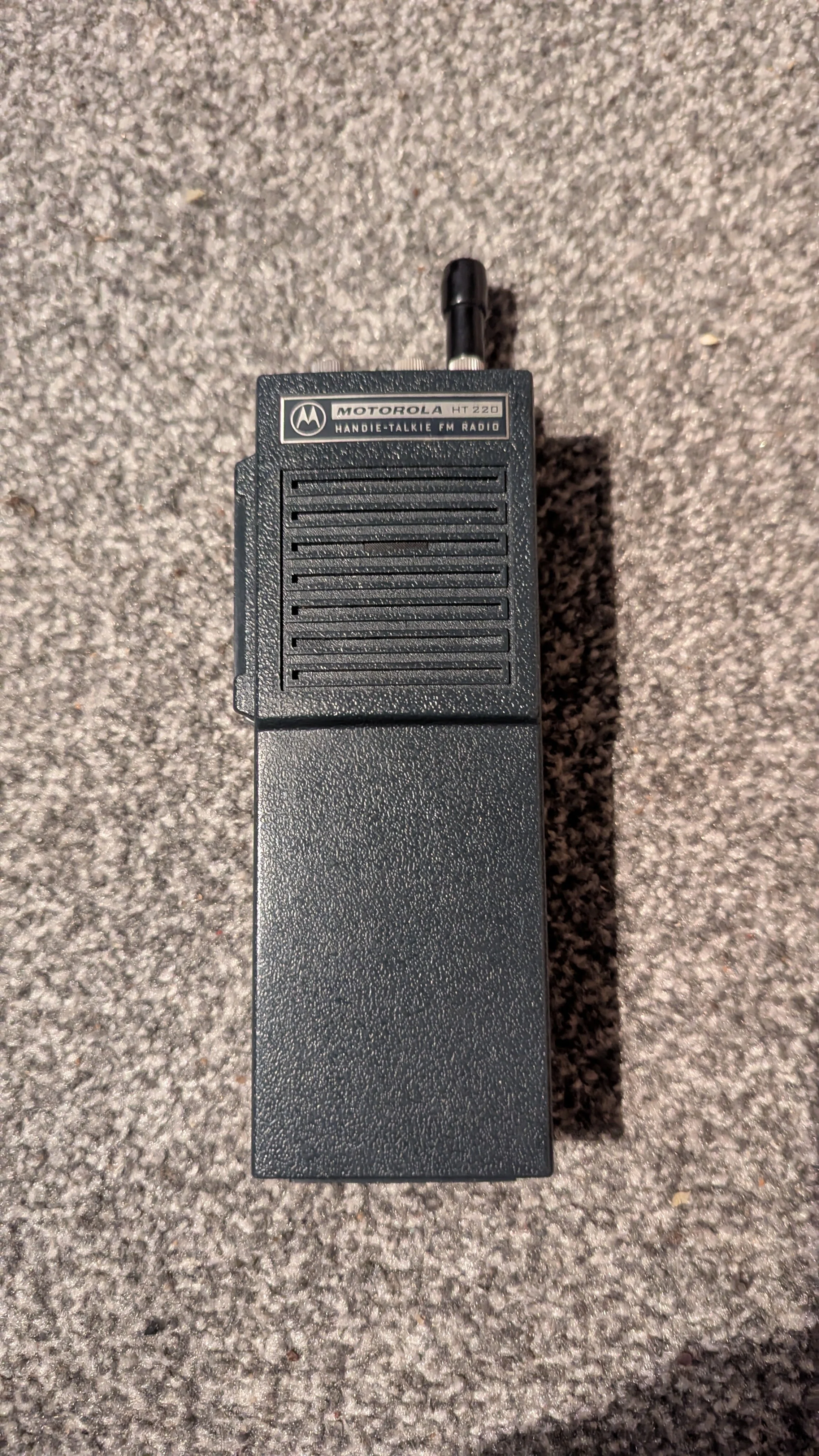 1000034848.jpg